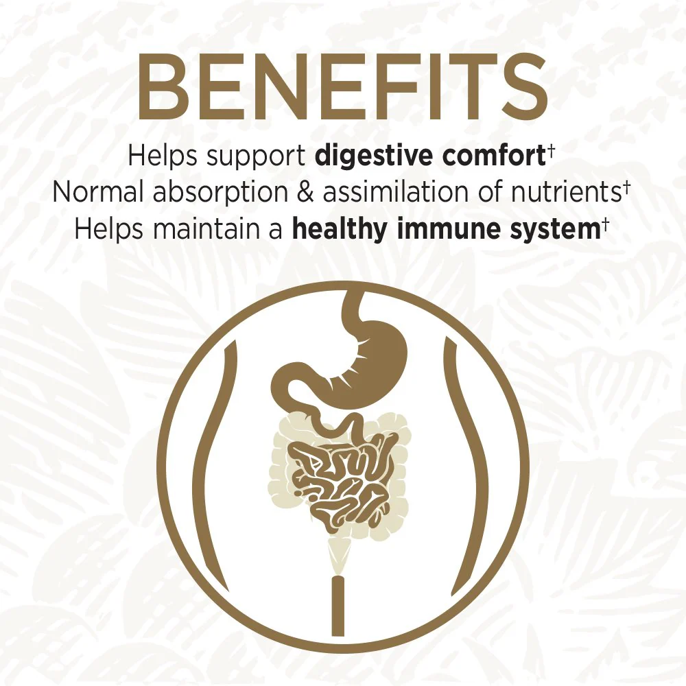 Garden of Life Primal Defense Ultra Probiotics – 15B CFU, 13 Strains + HSO, Vegetarian & Gluten Free, 216 Capsules - Image 11