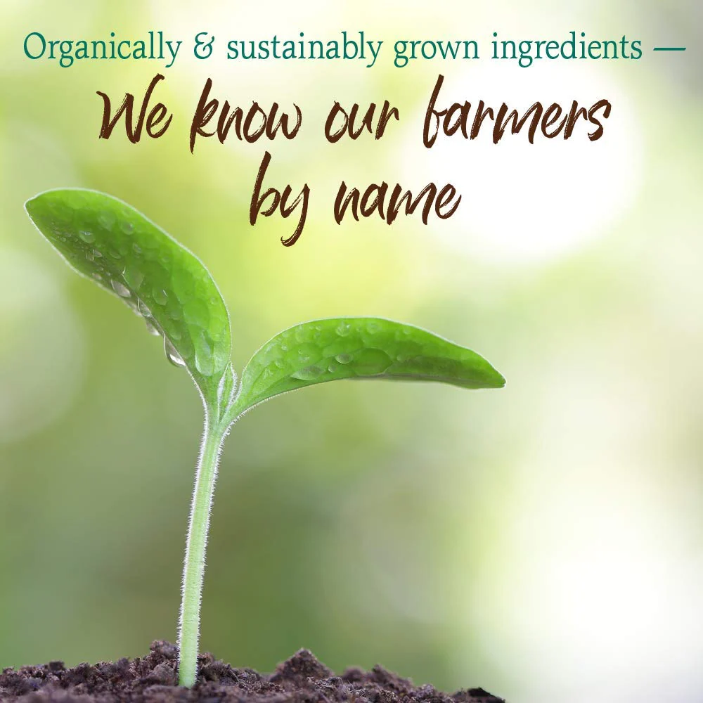 Garden of Life Raw Organic Perfect Food Chocolate – Green Superfood with Probiotics & Enzymes - Image 7