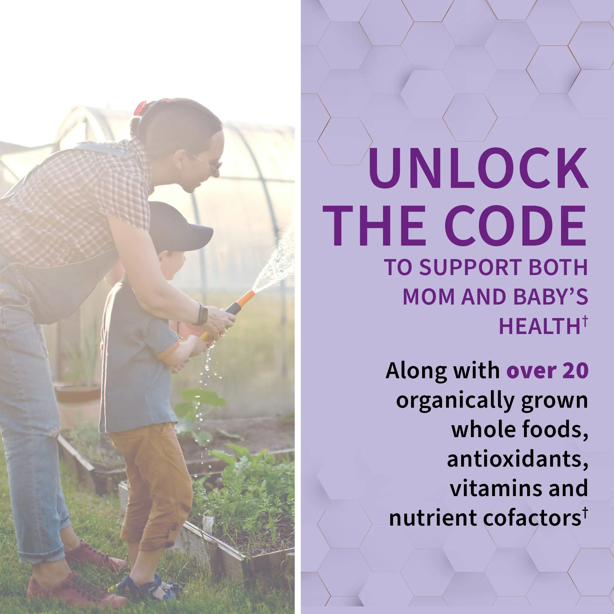 Garden of Life Vitamin Code RAW Prenatal | Whole-Food Prenatal Multivitamin (180 Veg Capsules) - Image 11