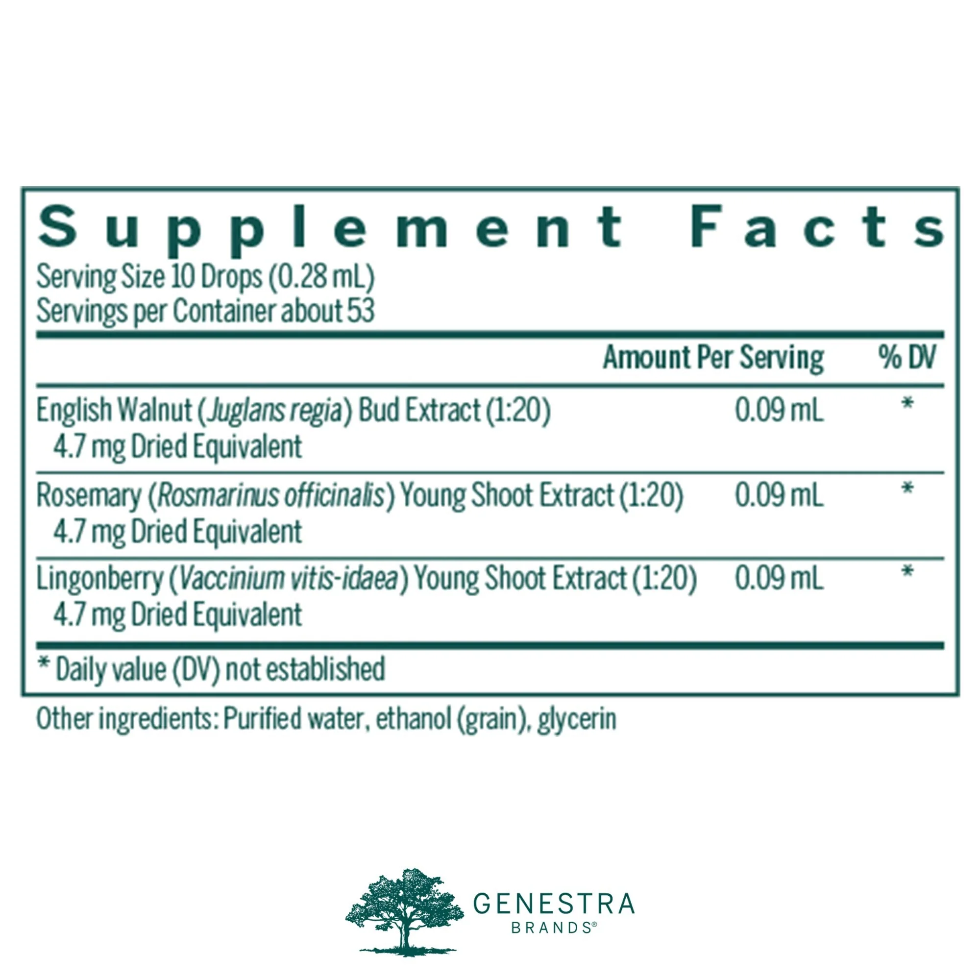 Genestra Brands Intest-gen | English Walnut, Rosemary & Lingonberry Herbal Supplement | 0.5 fl. oz. - Image 2