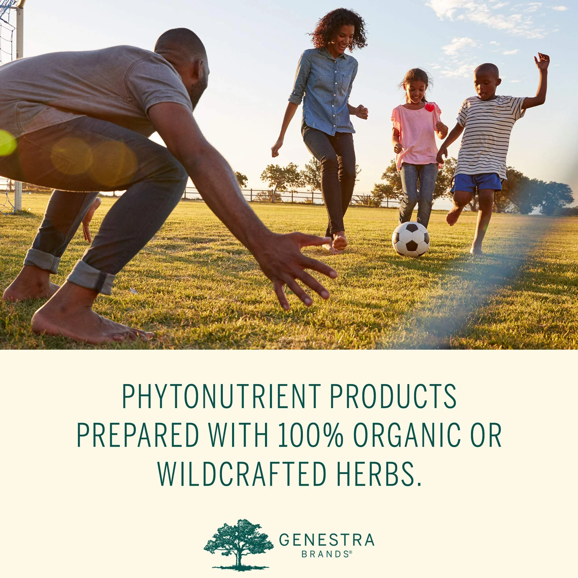 Genestra Brands Phyto Greens Capsules | Organic Greens, Vitamins & Enzymes - 180 Capsules - Image 7