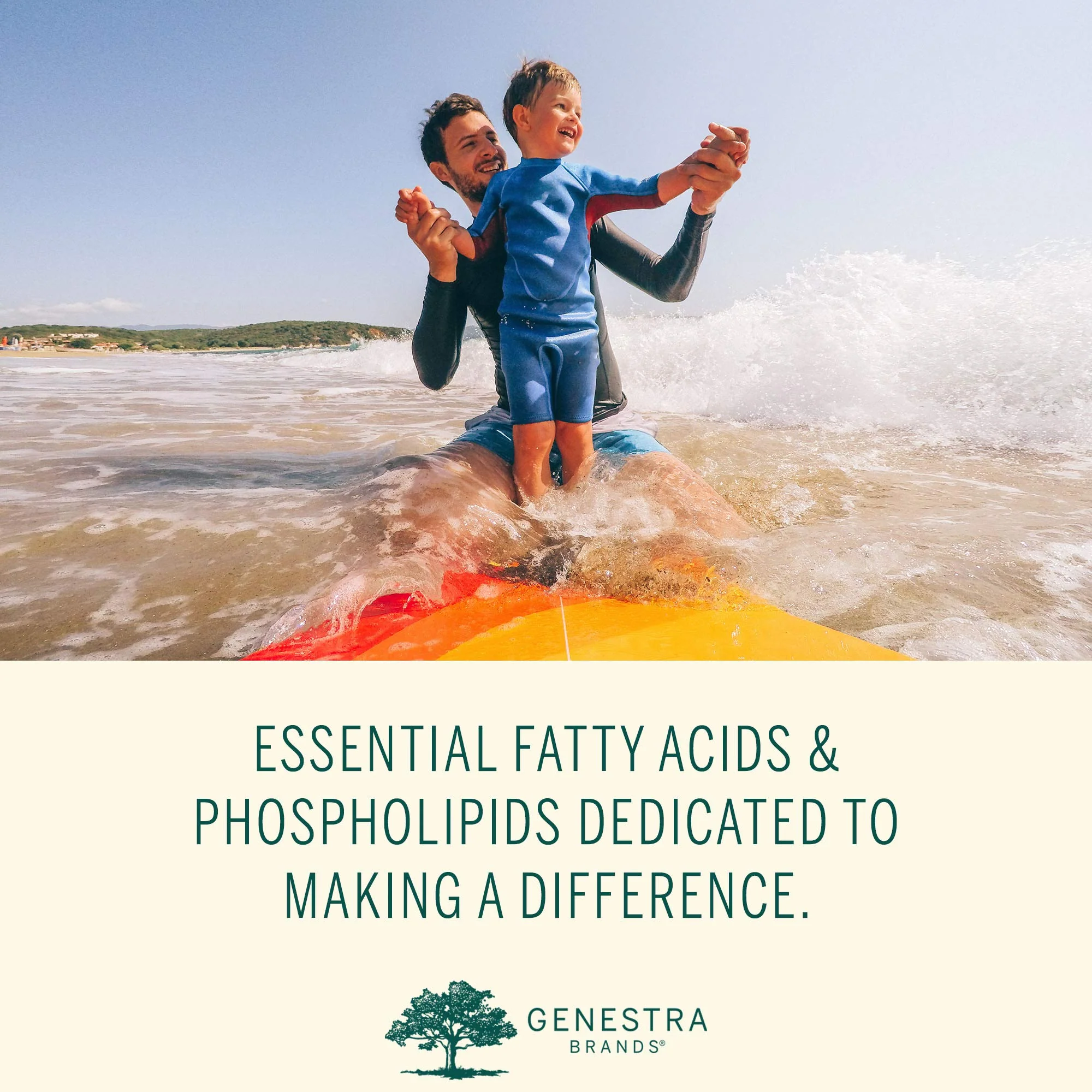 Genestra Brands Super EFA Liquid Plus – Essential Fatty Acid Formula with Plant Sterols | 7.6 fl oz - Image 13