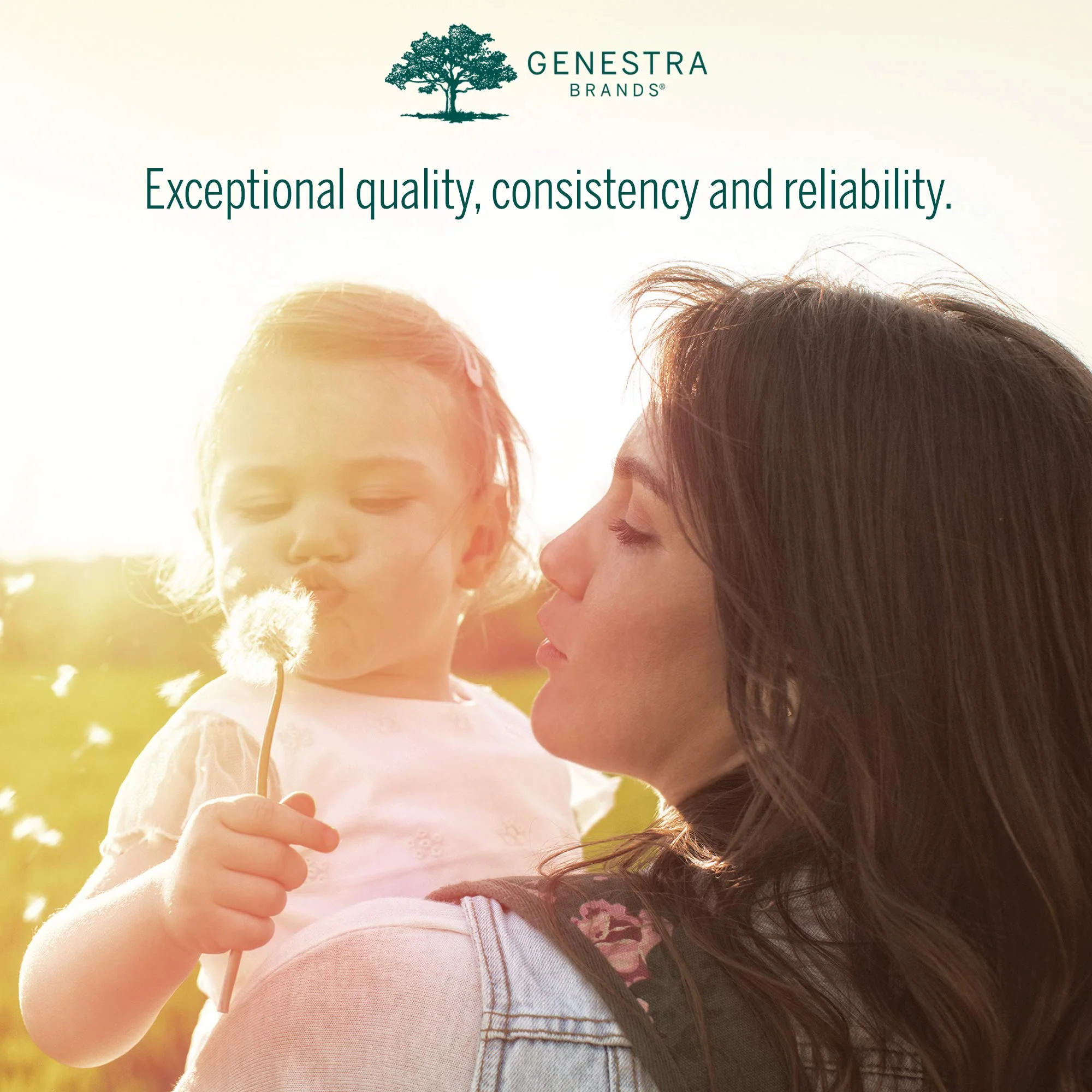 Genestra HMF Intensive 50 Probiotic – GI Health & Immune Support | 30 Vegetarian Capsules - Image 9
