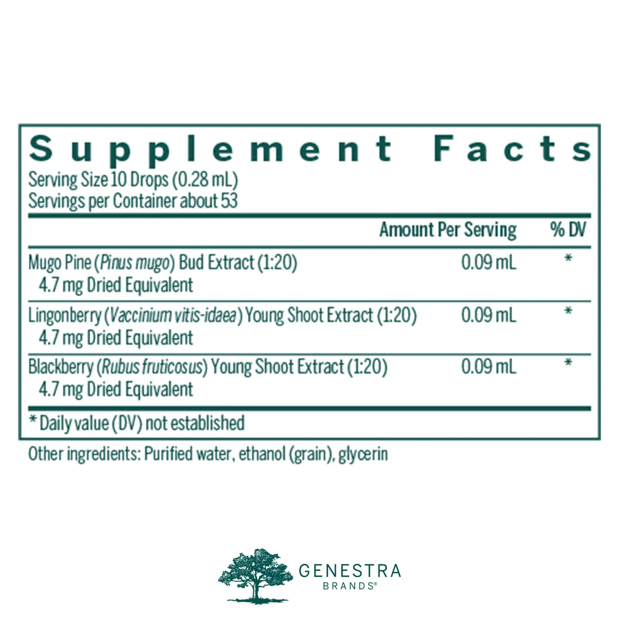 Genestra Osteo-gen – Mugo Pine, Lingonberry, Blackberry | 0.5 fl oz - Image 18