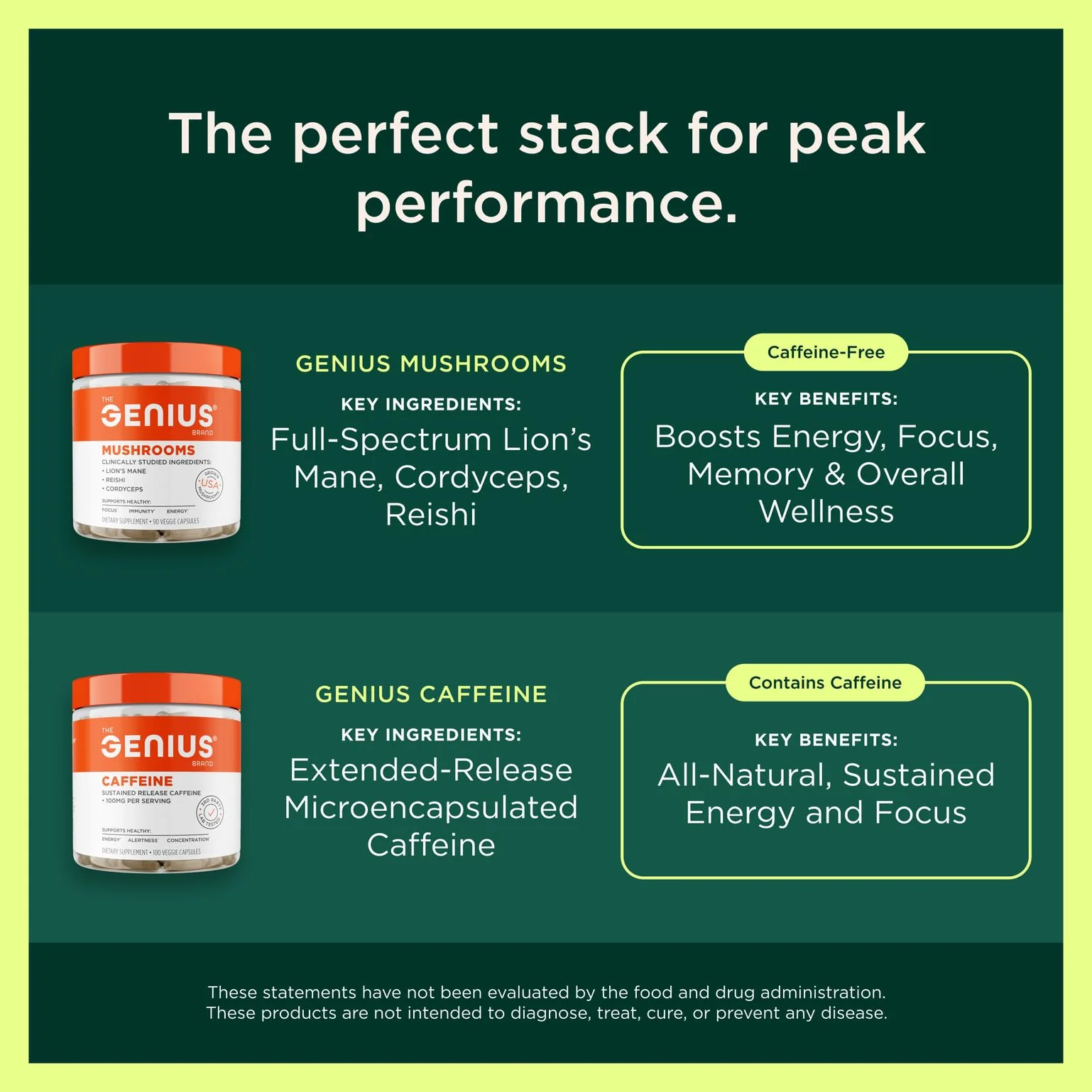 Genius Consciousness Nootropic Powder – Focus, Memory & Clarity | The Genius Brand – Watermelon - Image 7