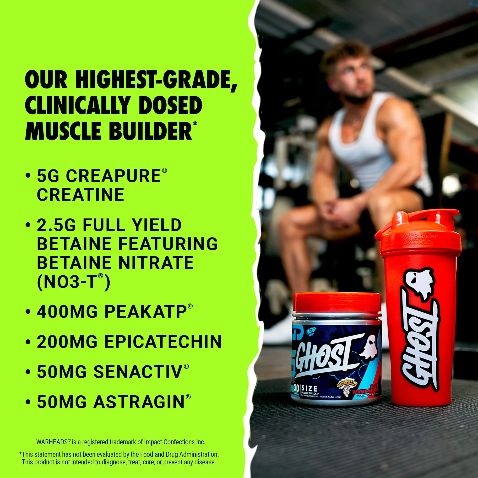 GHOST Size V3 Muscle Builder - Warheads Sour Watermelon, 30 Servings | Creatine, Betaine, Sugar-Free, Gluten-Free - Image 9