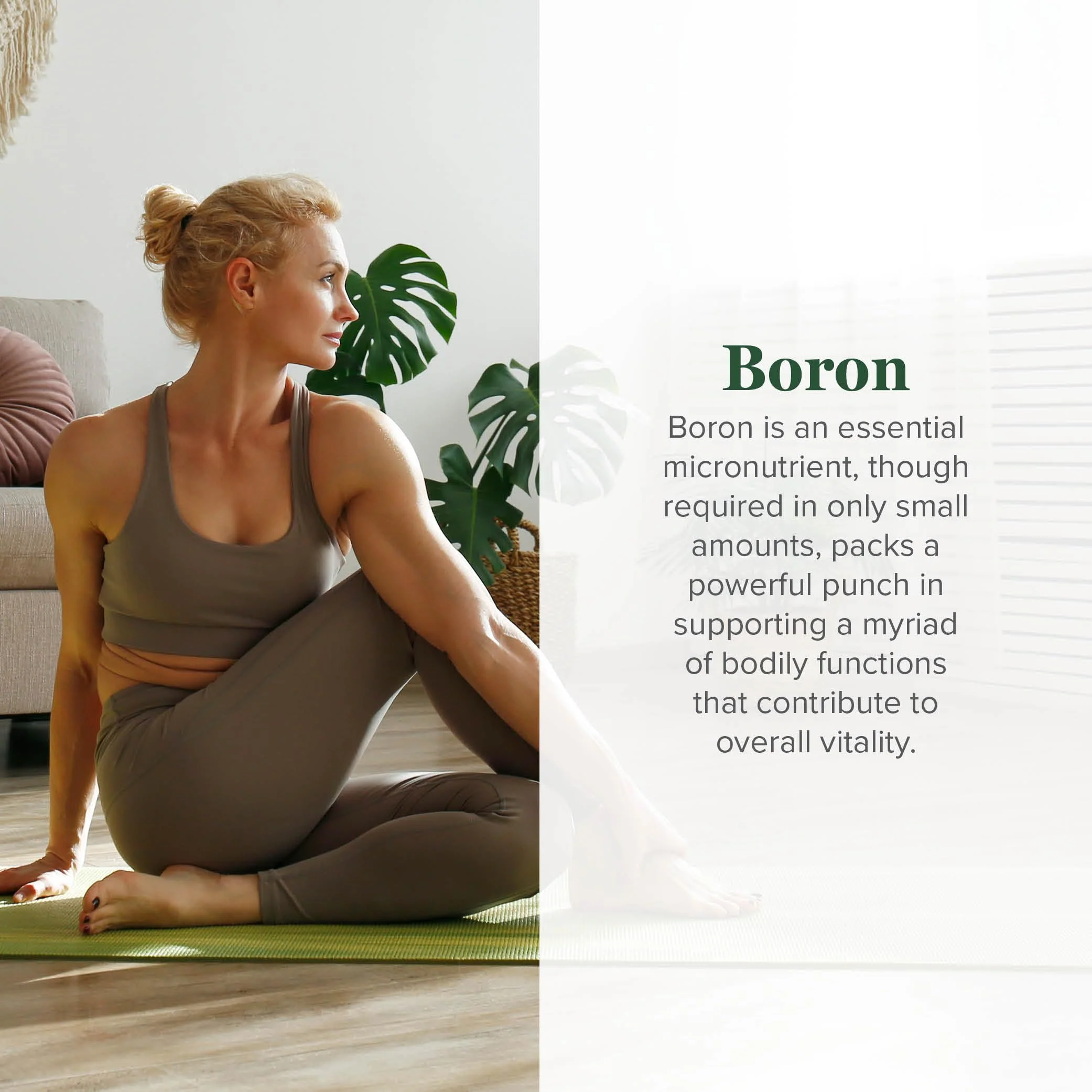 Global Healing Center Boron Supplement 5 mg | Bone Health, Metabolism & Magnesium Absorption (2 oz) - Image 2