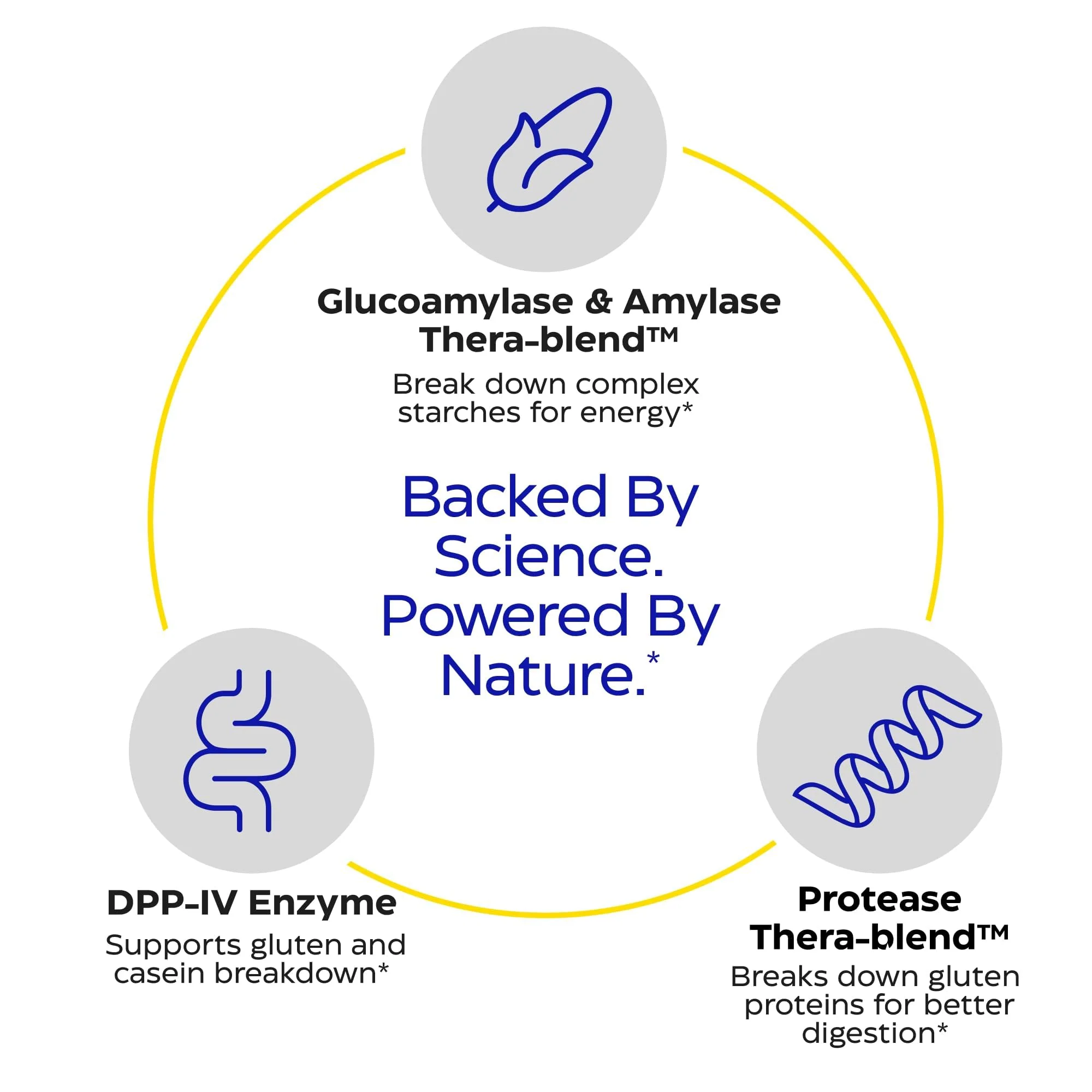 GlutenEase by Enzymedica | Advanced Digestive Enzymes for Gluten & Casein (120 Capsules) - Image 4