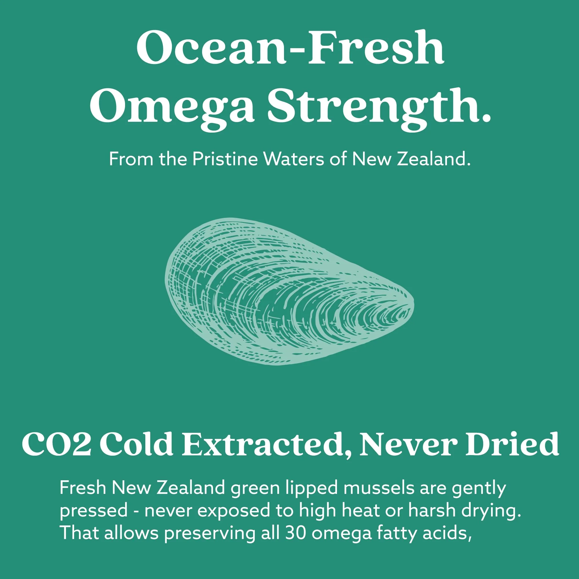 GLX3 Joint Support Omega-3 – NZ Green-Lipped Mussel Oil | HAKA Life Nutrition - Image 11