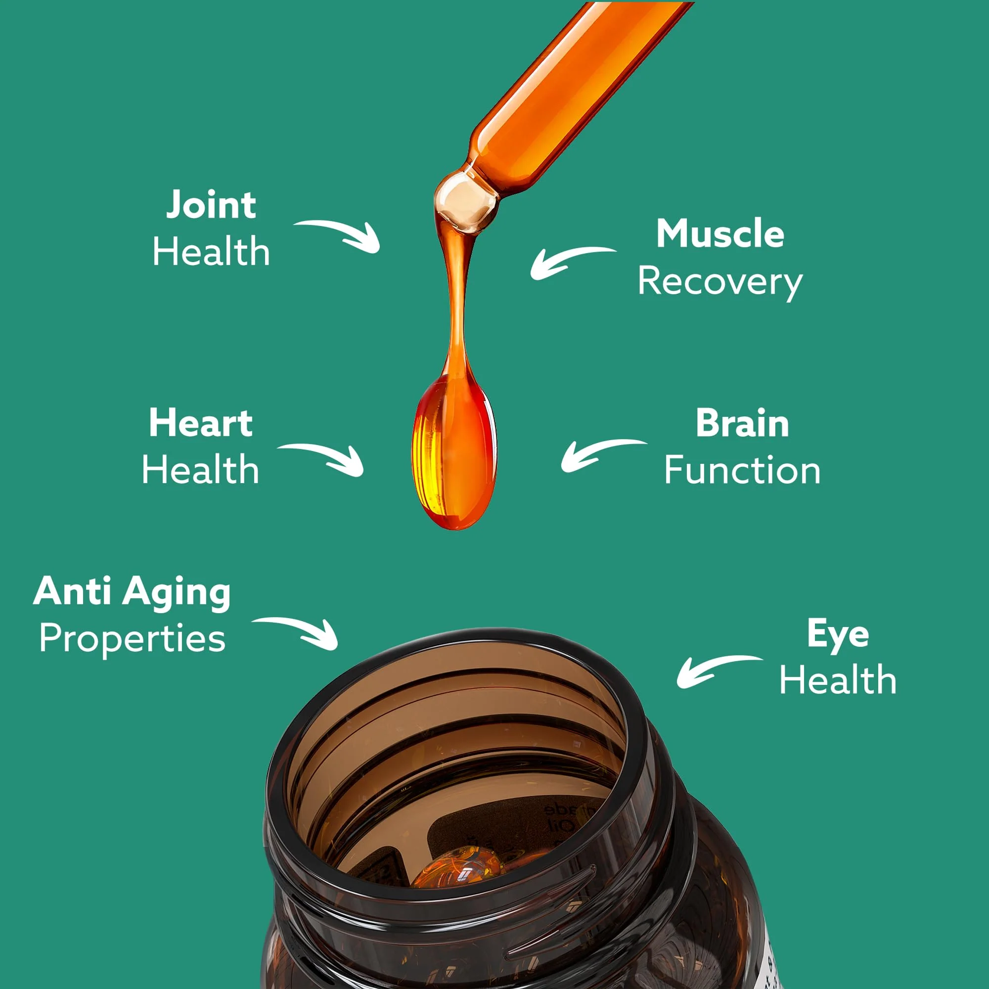 GLX3 Joint Support Omega-3 – NZ Green-Lipped Mussel Oil | HAKA Life Nutrition - Image 3