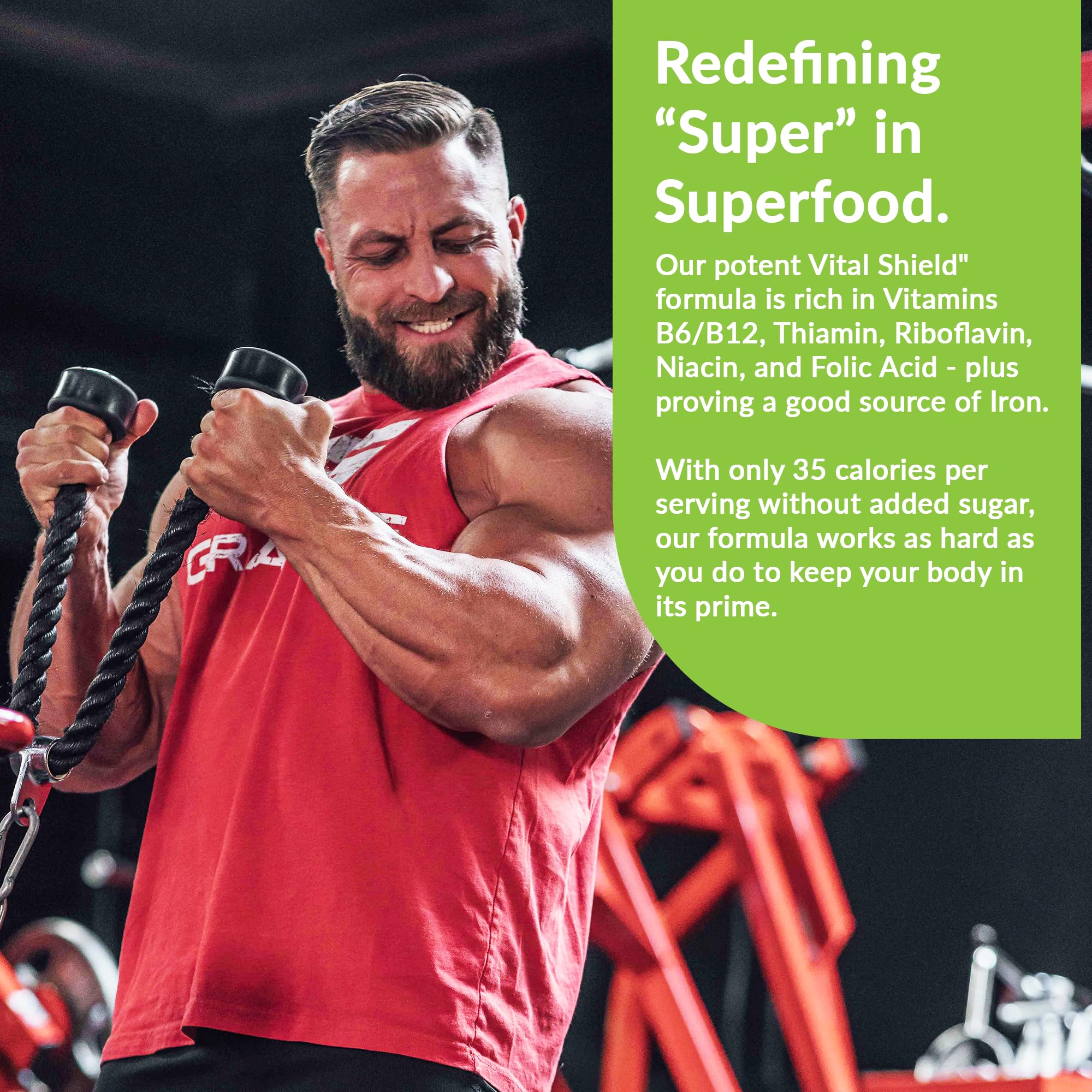 Granite Nutrition Vital Shield – USDA Organic Greens, Mushrooms & Tart Cherry (30 Servings) - Image 14