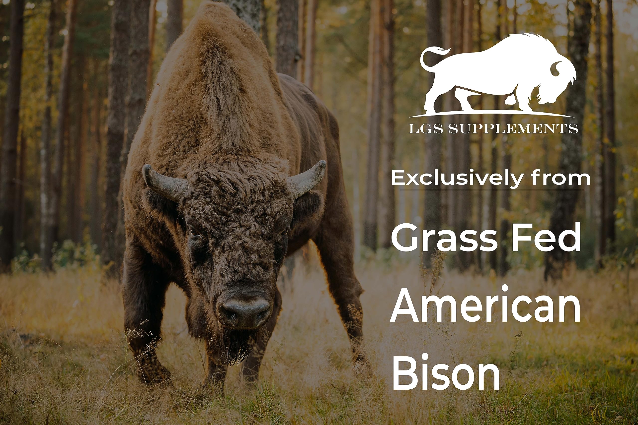 Grass Fed Bison Organ Supplement – Liver, Heart & Kidney | Non-GMO | 180 Capsules - Image 4