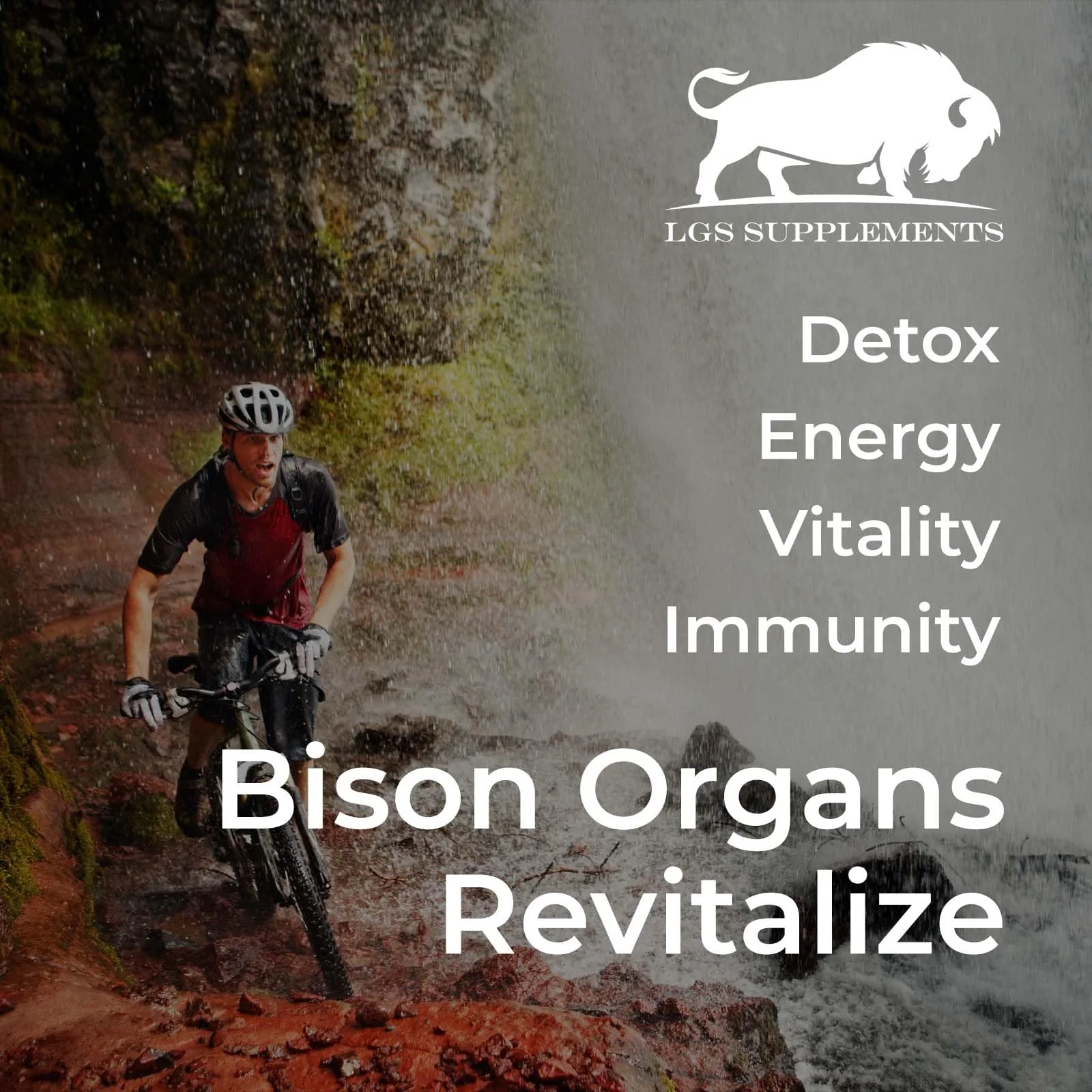 Grass Fed Bison Organ Supplement – Liver, Heart & Kidney | Non-GMO | 180 Capsules - Image 5