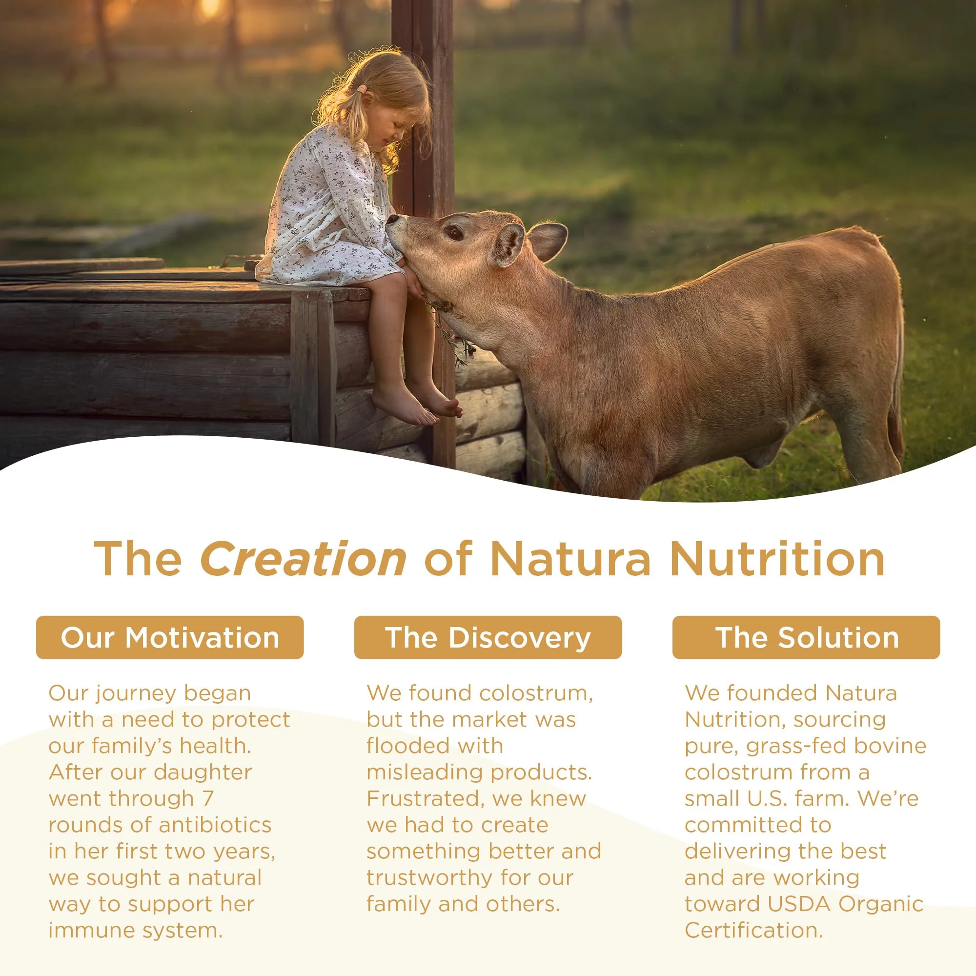 Grass-Fed Bovine Colostrum Powder - 60 Servings | Pure First-Milking IgG 25% | USA Sourced - Image 7
