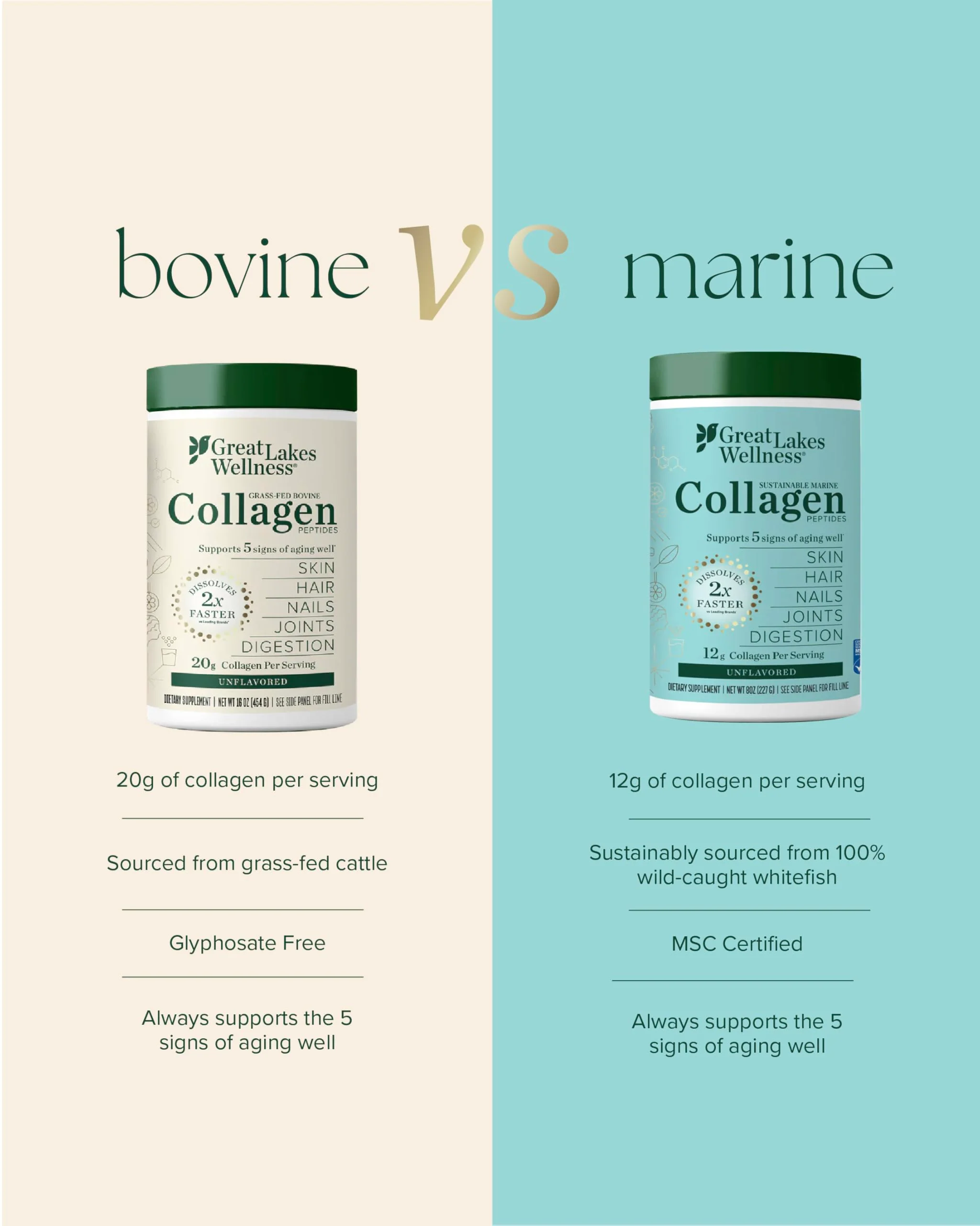 Great Lakes Wellness Marine Collagen Peptides Powder – Unflavored, 16 oz (Wild-Caught, MSC Certified) - Image 14