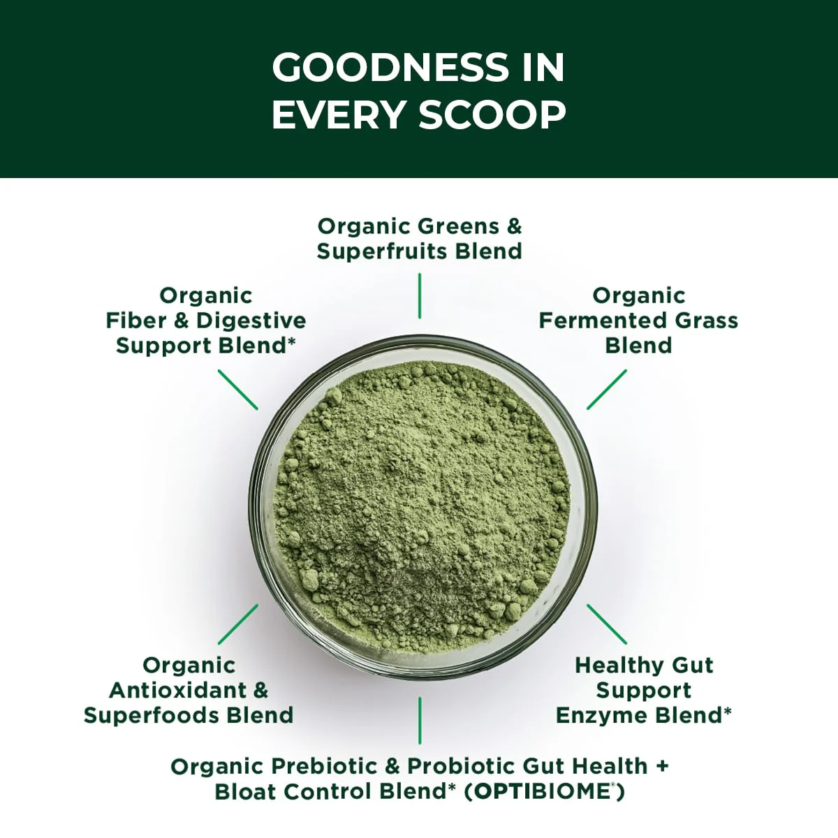 Green Biome Elite Organic Greens + OptiBiome Probiotic | Bloat Relief, Digestive Comfort, Regularity | Vegan, Gluten Free | Apple Flavor | 30 Servings - Image 3