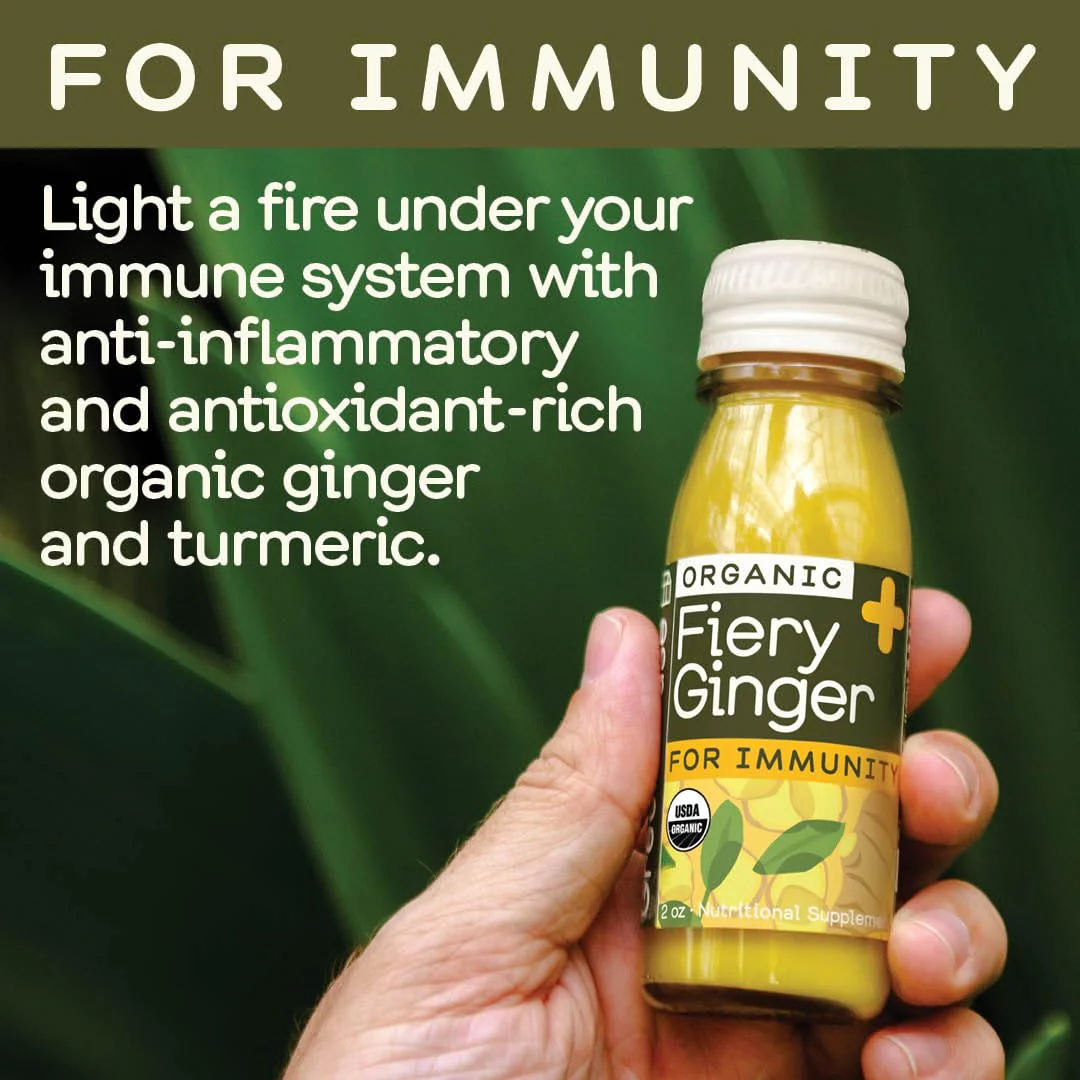 Greenhouse Juice Co. Fiery Ginger & Turmeric Wellness Shot – Immune Support, Vegan & Gluten-Free, 12-Count 60ml Glass Bottles - Image 2
