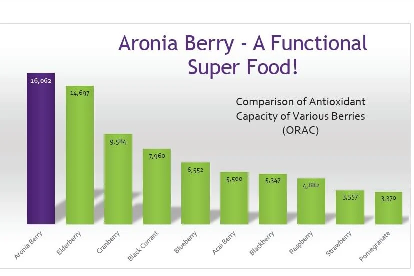 GUT BAR Aronia Powder | Aronia Berry Powder | 52 Servings | Digestive Support & Gut Health - Image 7