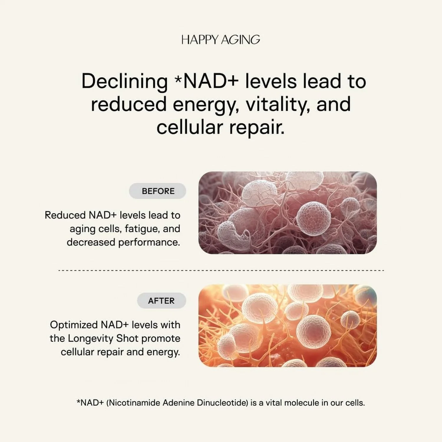 Happy Aging Liquid NAD+ Shot – Liposomal NR, Resveratrol, Antioxidants | 10 Shots - Image 5