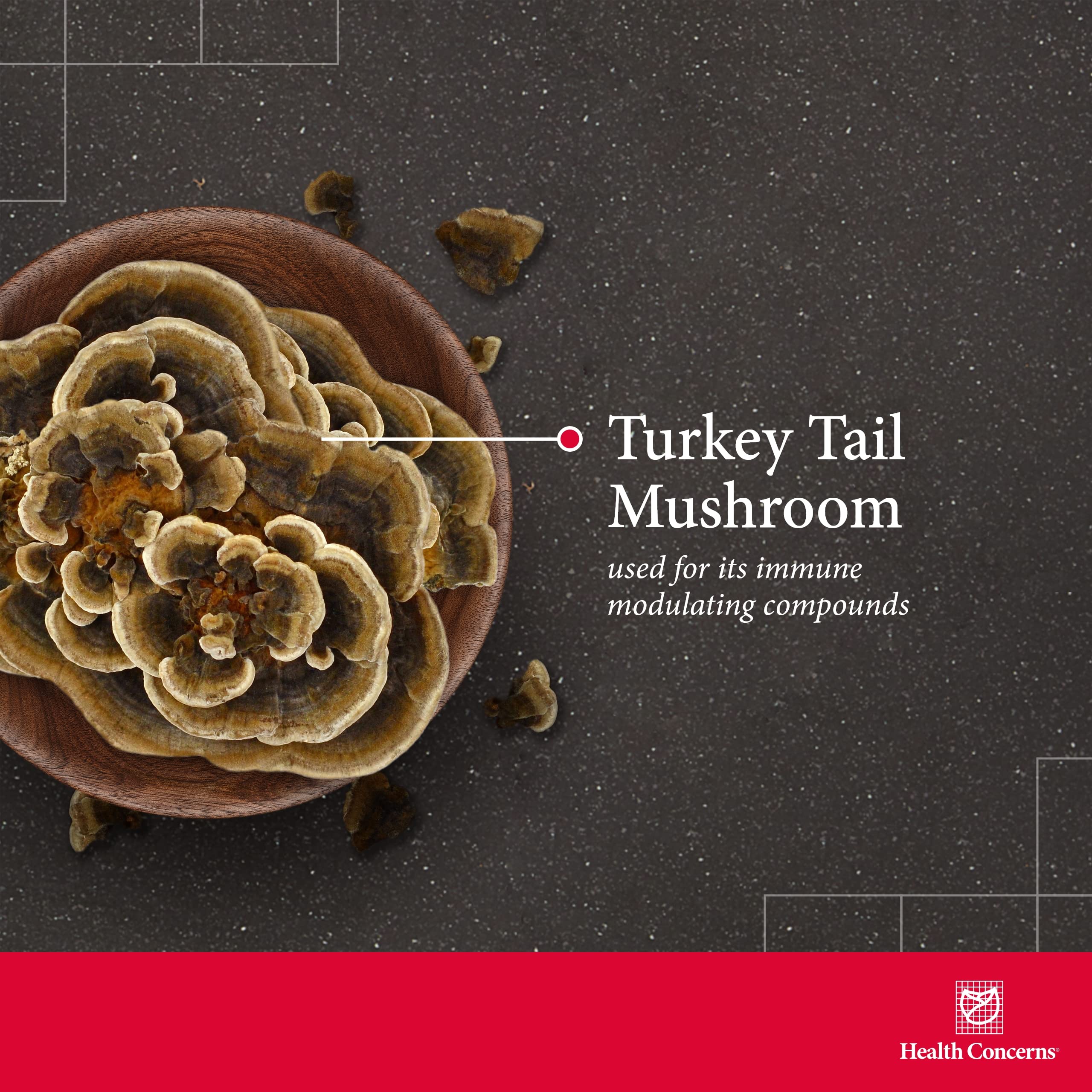 Health Concerns Coriolus PS – Turkey Tail Mushroom for Immune & Gut Health | 1500mg, 90 Capsules - Image 3