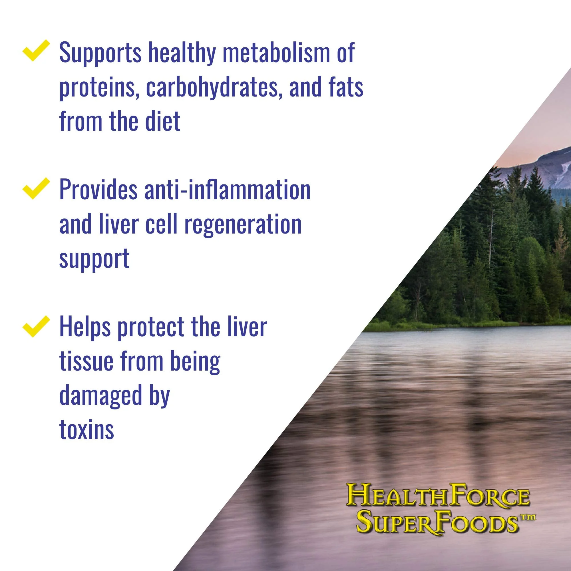 HealthForce SuperFoods Liver Rescue - Natural Liver Cleanse with Milk Thistle & Dandelion Root | Gluten-Free & Vegan | 120 Capsules - Image 13