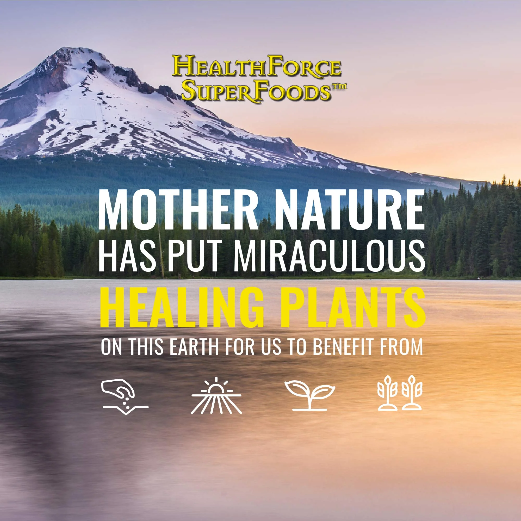 HealthForce SuperFoods Liver Rescue - Natural Liver Cleanse with Milk Thistle & Dandelion Root | Gluten-Free & Vegan | 120 Capsules - Image 14