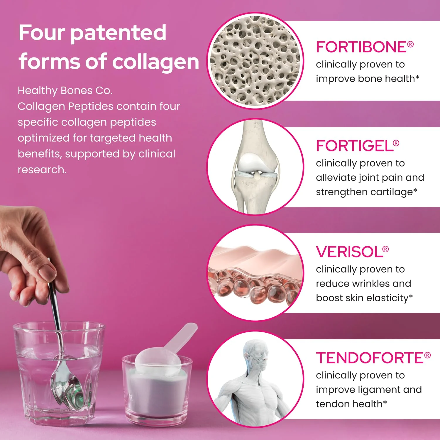 Healthy Bones Co. FORTIBONE Premium Bone Health Collagen Peptides with FORTIGEL, VERISOL & TENDOFORTE | 30 Servings - Image 12