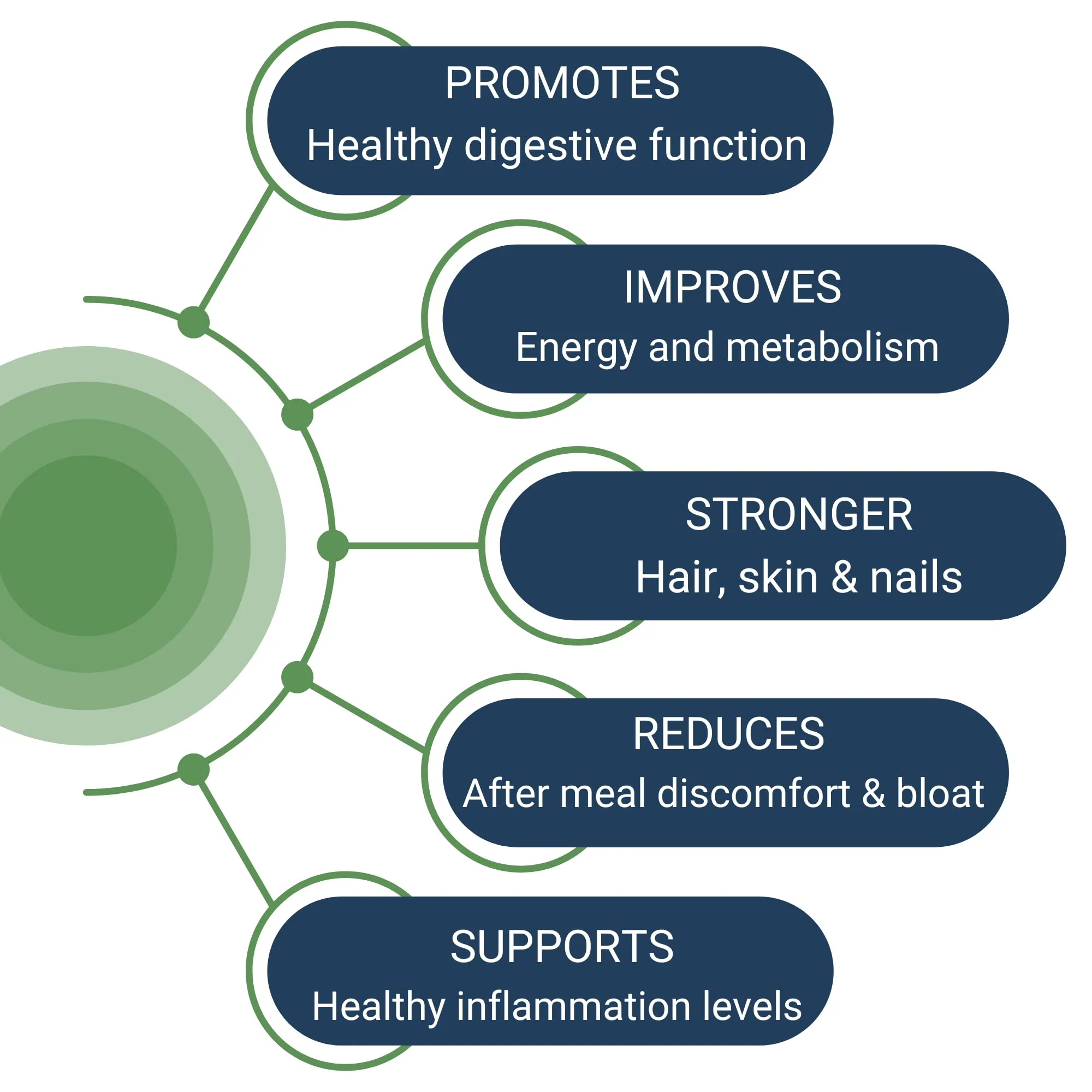 Healthy Gut HCL Guard+ | Supports Digestive Function with Betaine HCl, Ginger, DGL, Pepsin | 60 Servings - Image 10