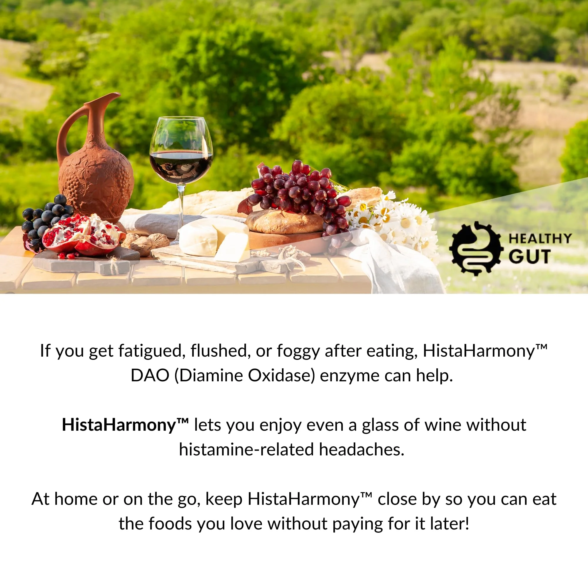 Healthy Gut HistaHarmony DAO Enzyme Supplement – 30,000 HDU, Delayed Release, 60 Servings - Image 18