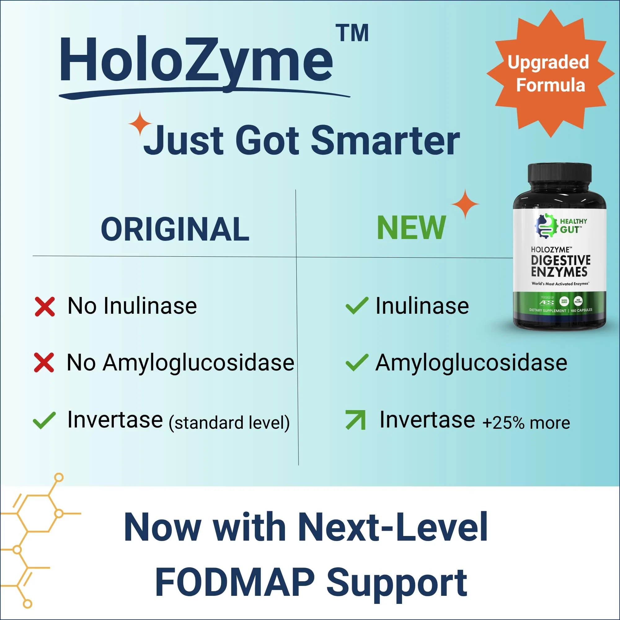 Healthy Gut HoloZyme Max Strength Digestive Enzymes | FODMAP Support with Inulinase, Amyloglucosidase & Invertase | 90 Servings - Image 13