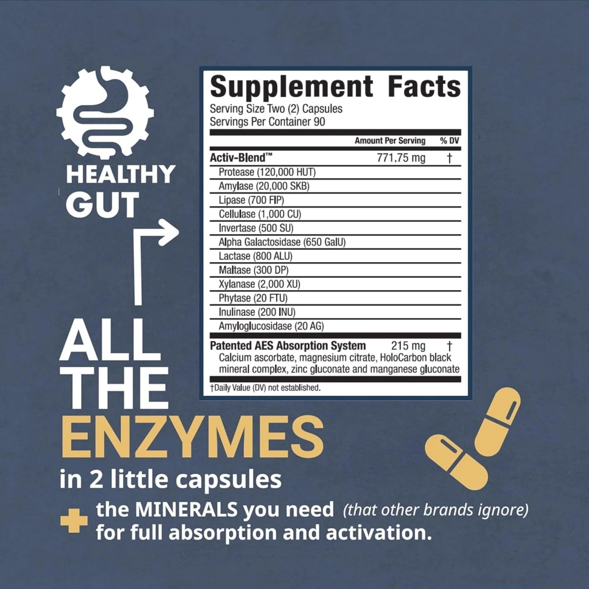 Healthy Gut HoloZyme Max Strength Digestive Enzymes | FODMAP Support with Inulinase, Amyloglucosidase & Invertase | 90 Servings - Image 4