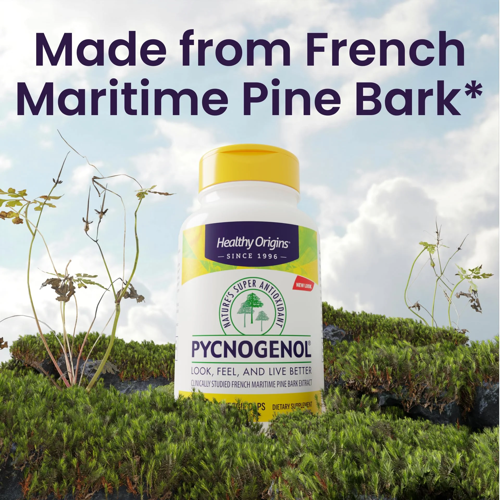 Healthy Origins Pycnogenol 150 mg - French Maritime Pine Bark Extract (Vegan, Non-GMO) - Image 2