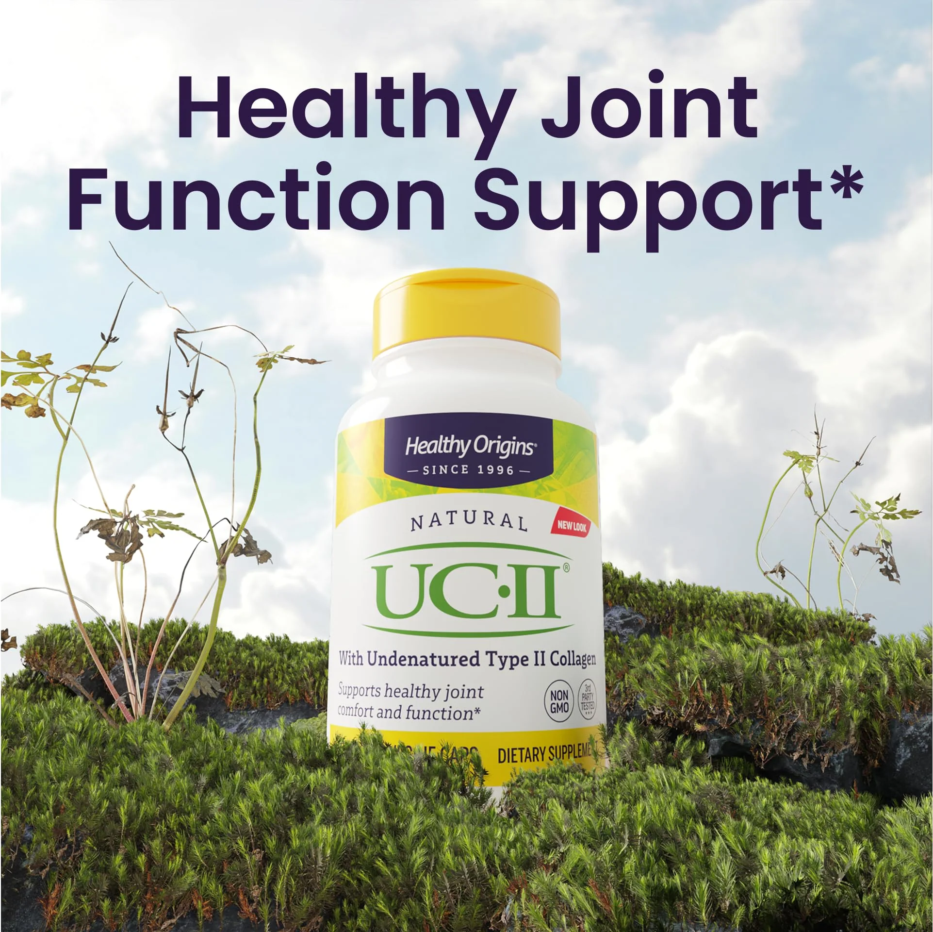 Healthy Origins UC-II 40 mg Undenatured Type II Collagen – 120 Veggie Caps - Image 3