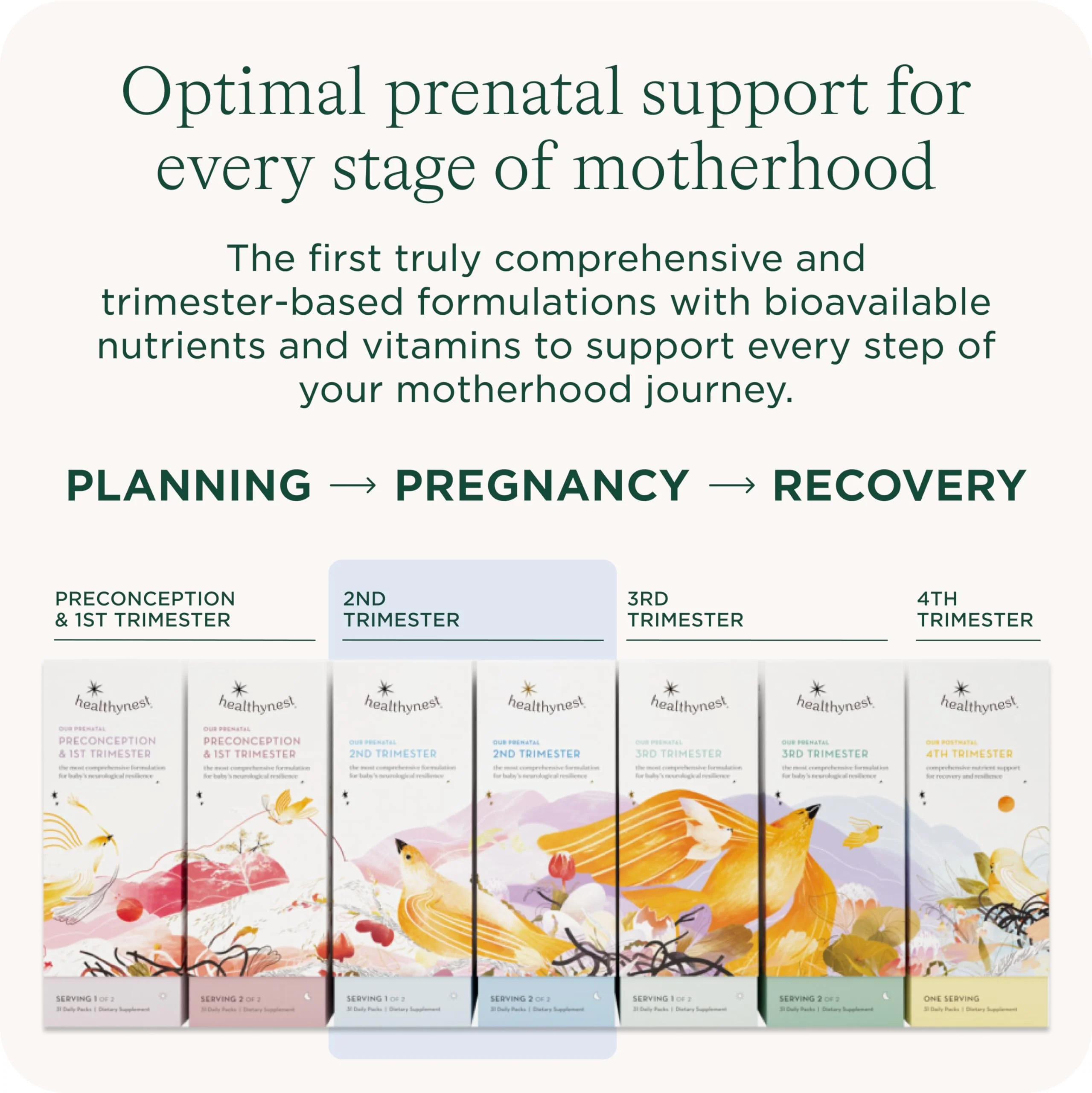 HealthyNest 2nd Trimester Prenatal Vitamin | Fetal Brain Development Support | 31 Day Supply - Image 5