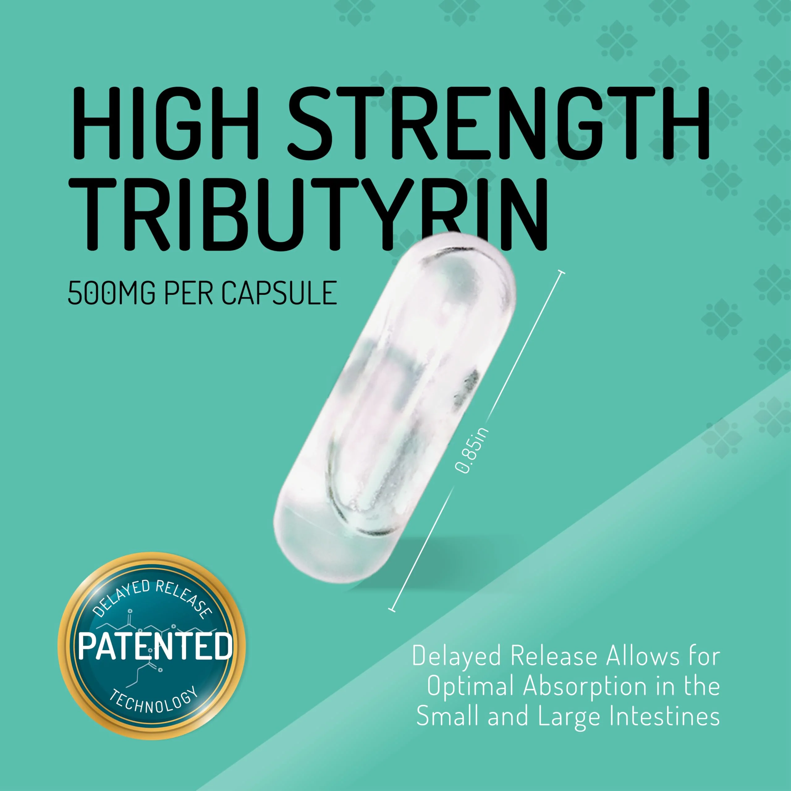Healus Complete Biotic - Postbiotic Tributyrin for Gut Health - Image 3