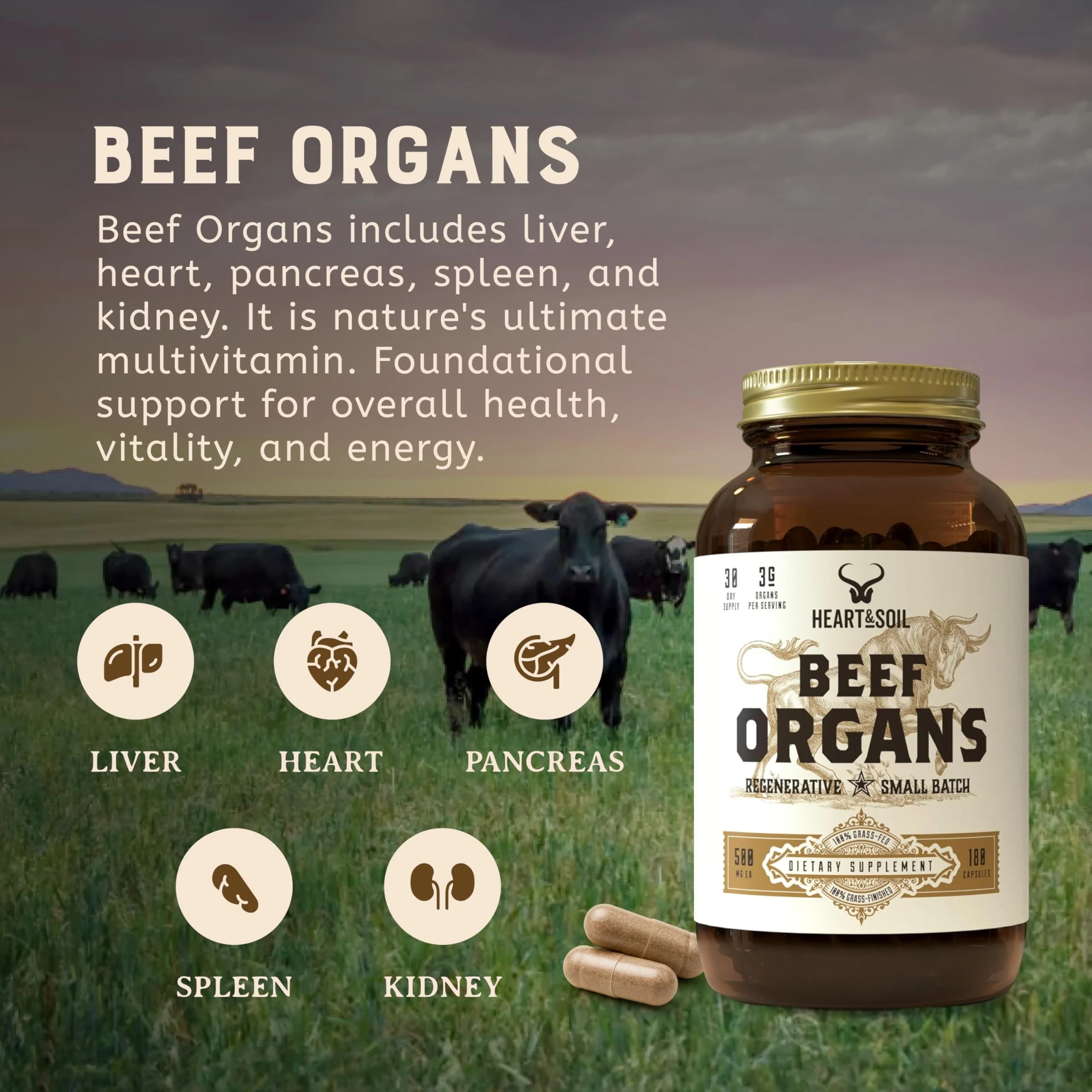 HEART & SOIL – Grass-Fed Beef Organ Supplements (Liver, Heart, Kidney, Pancreas & Spleen) – 180 Capsules - Image 17