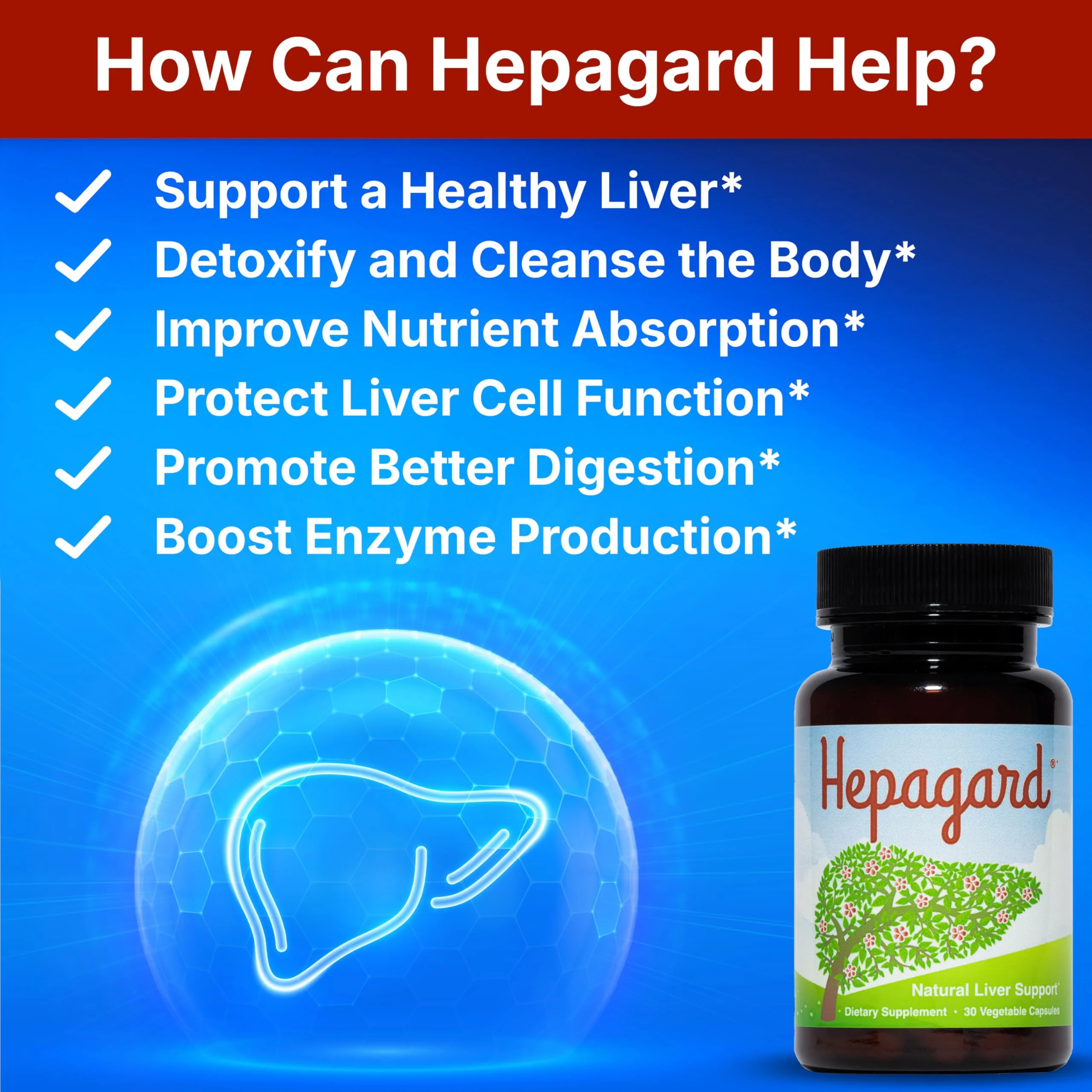 Hepagard - Natural Liver Support Supplement with N-Acetyl Cysteine (NAC) - Non-GMO, Vegan, Gluten-Free - Image 2