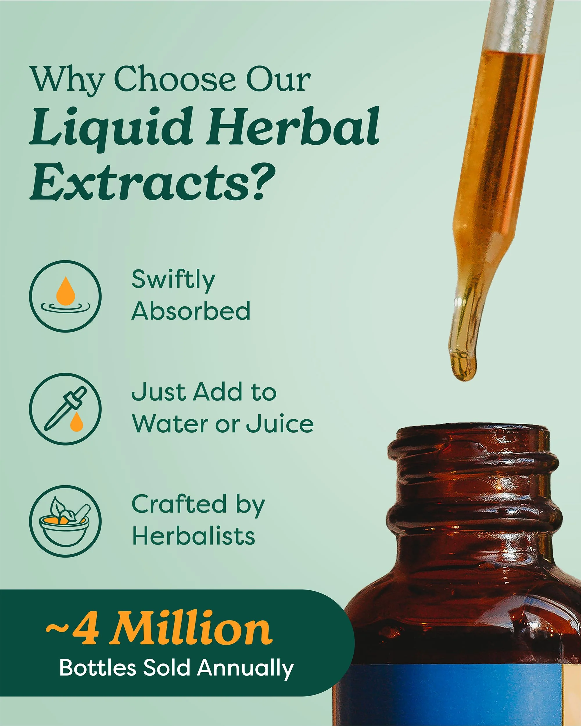 Herb Pharm Holy Basil (Tulsi) Liquid Extract – Certified Organic, Energy & Vitality (4 oz) - Image 2