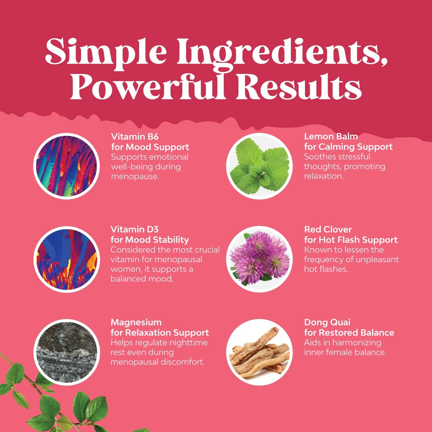 Herbal Menopause Supplement for Women | Hormone Balance & Night Sweats 120 Count - Image 6