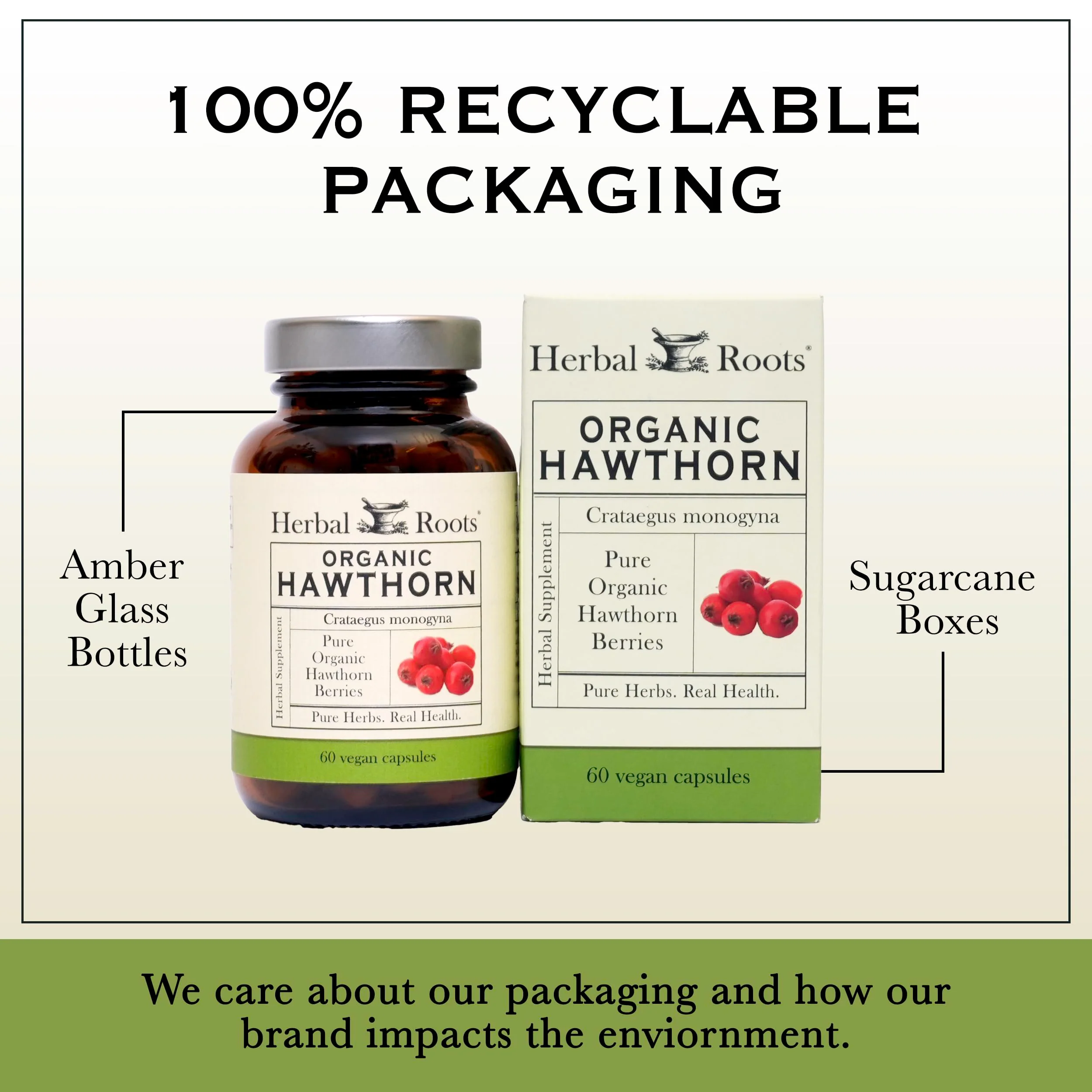Herbal Roots Organic Hawthorn Berry Capsules – Extra Strength 1,200mg per Serving | 60 Vegan Capsules - Image 5