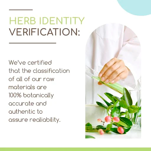 HerbEra Sage USDA Organic 60 Capsules | Natural Herbal Supplement | Certified Organic Sage (Salvia officinalis) Dried Leaf – Pack of 2 - Image 2
