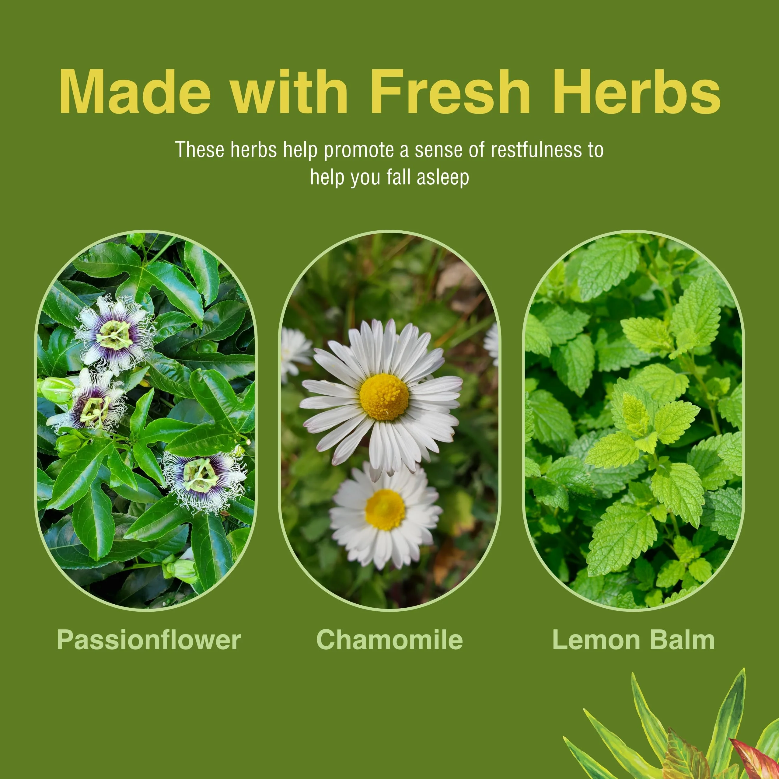 Herbs Etc. Deep Sleep Softgels – Herbal Sleep Support with Passionflower, Chamomile & Lemon Balm (60 Softgels) - Image 6