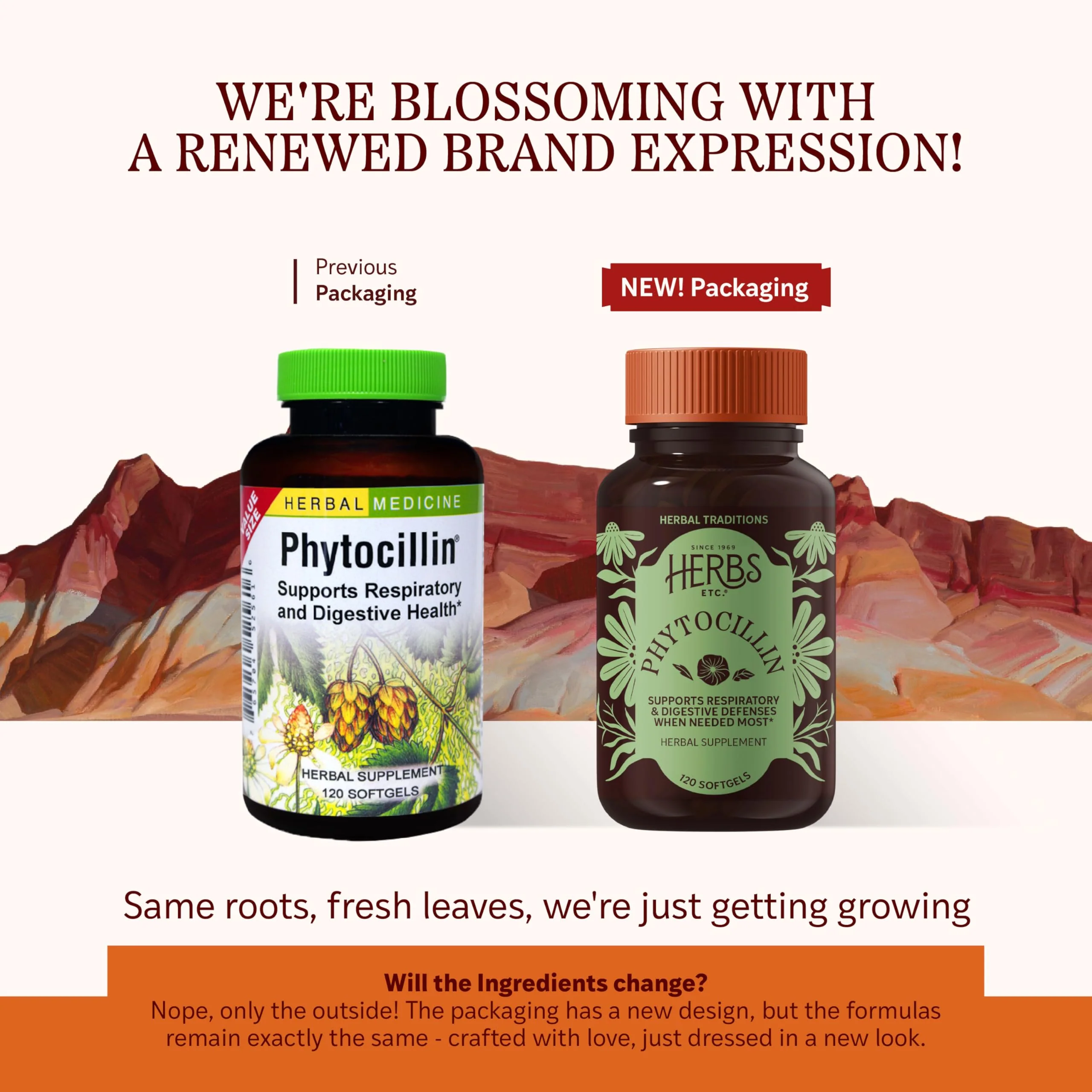 Herbs Etc. Phytocillin: Respiratory & Digestive Health Support | 120 Softgels - Image 2