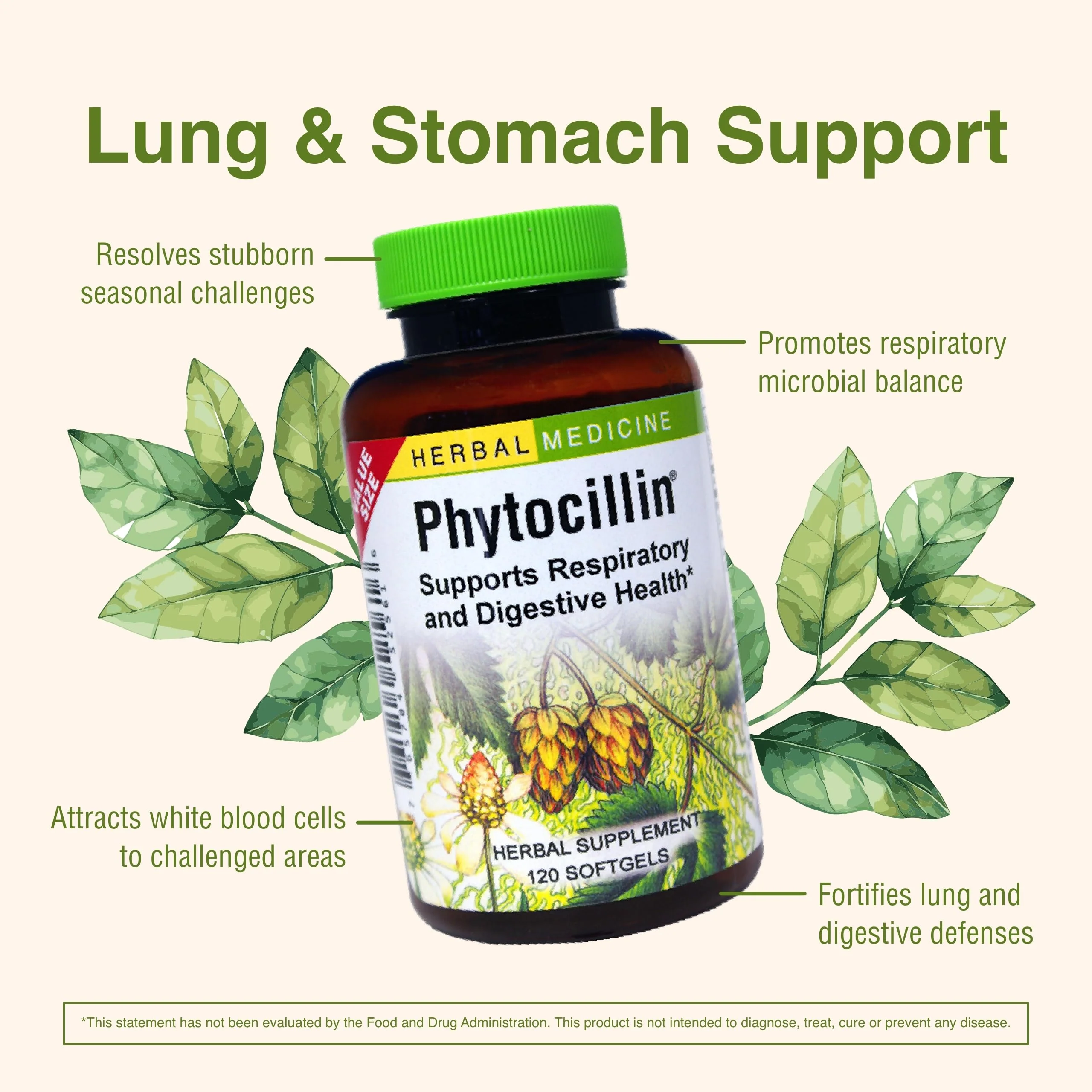 Herbs Etc. Phytocillin: Respiratory & Digestive Health Support | 120 Softgels - Image 5