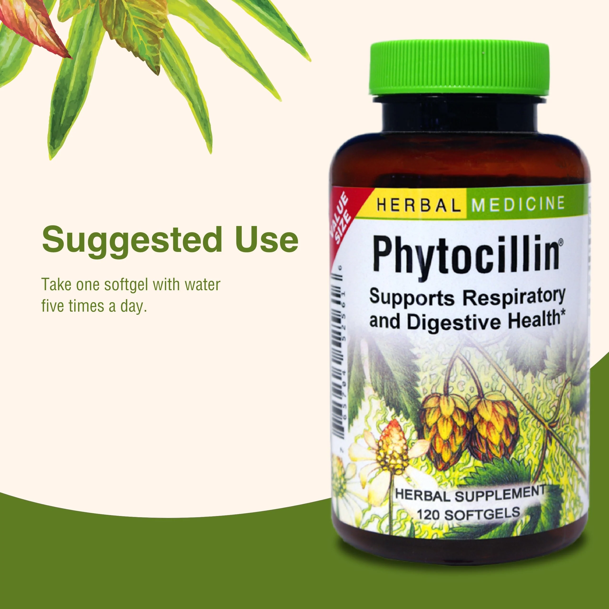 Herbs Etc. Phytocillin: Respiratory & Digestive Health Support | 120 Softgels - Image 7