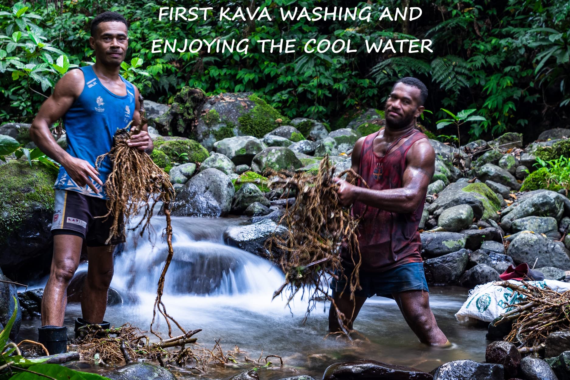 Heritage Kava Premium Fiji Noble Kava Root Powder 16 oz (1 lb) - Image 5