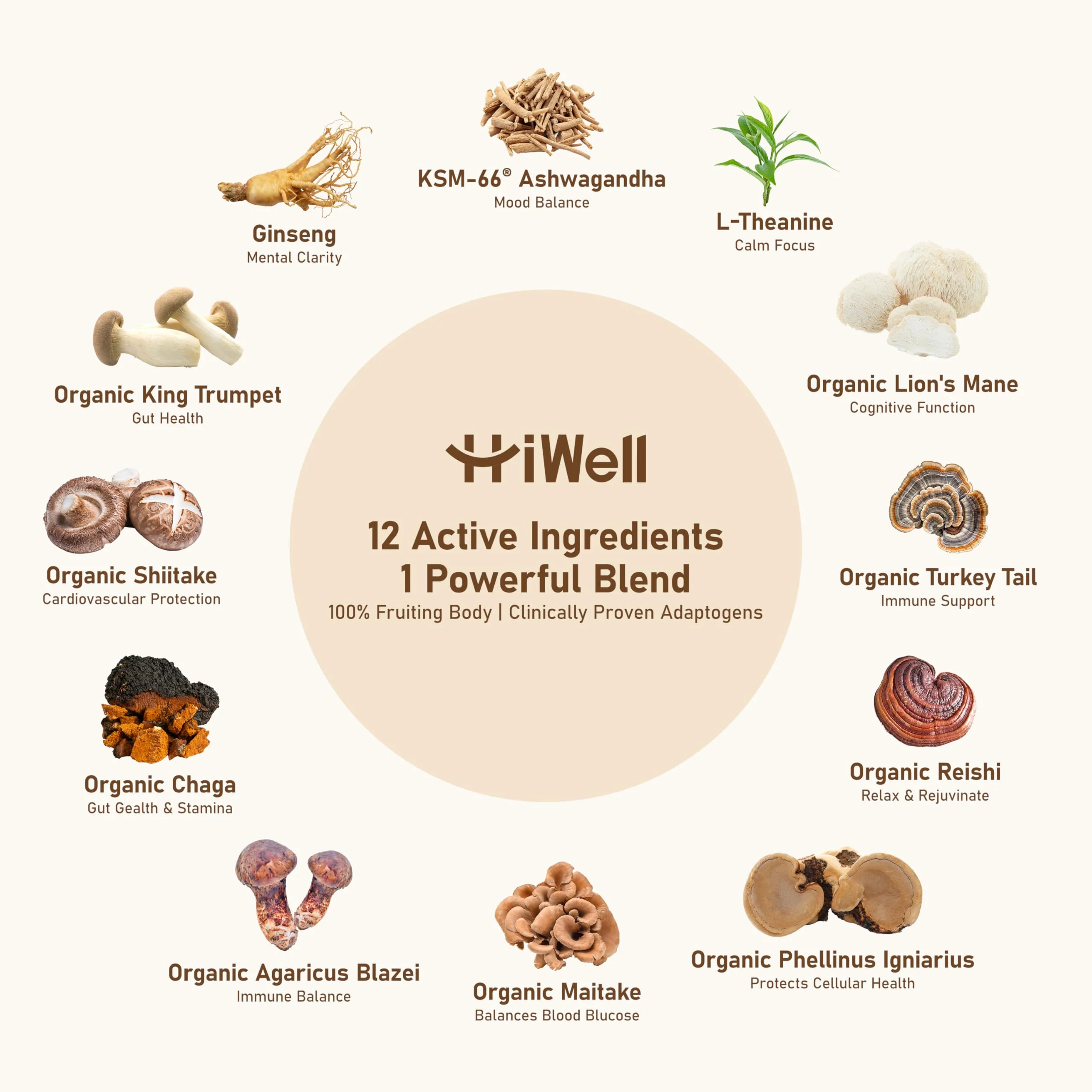 HiWell 12-in-1 Mushroom Coffee - Organic Ginseng, Lion's Mane, Low Caffeine - Image 7