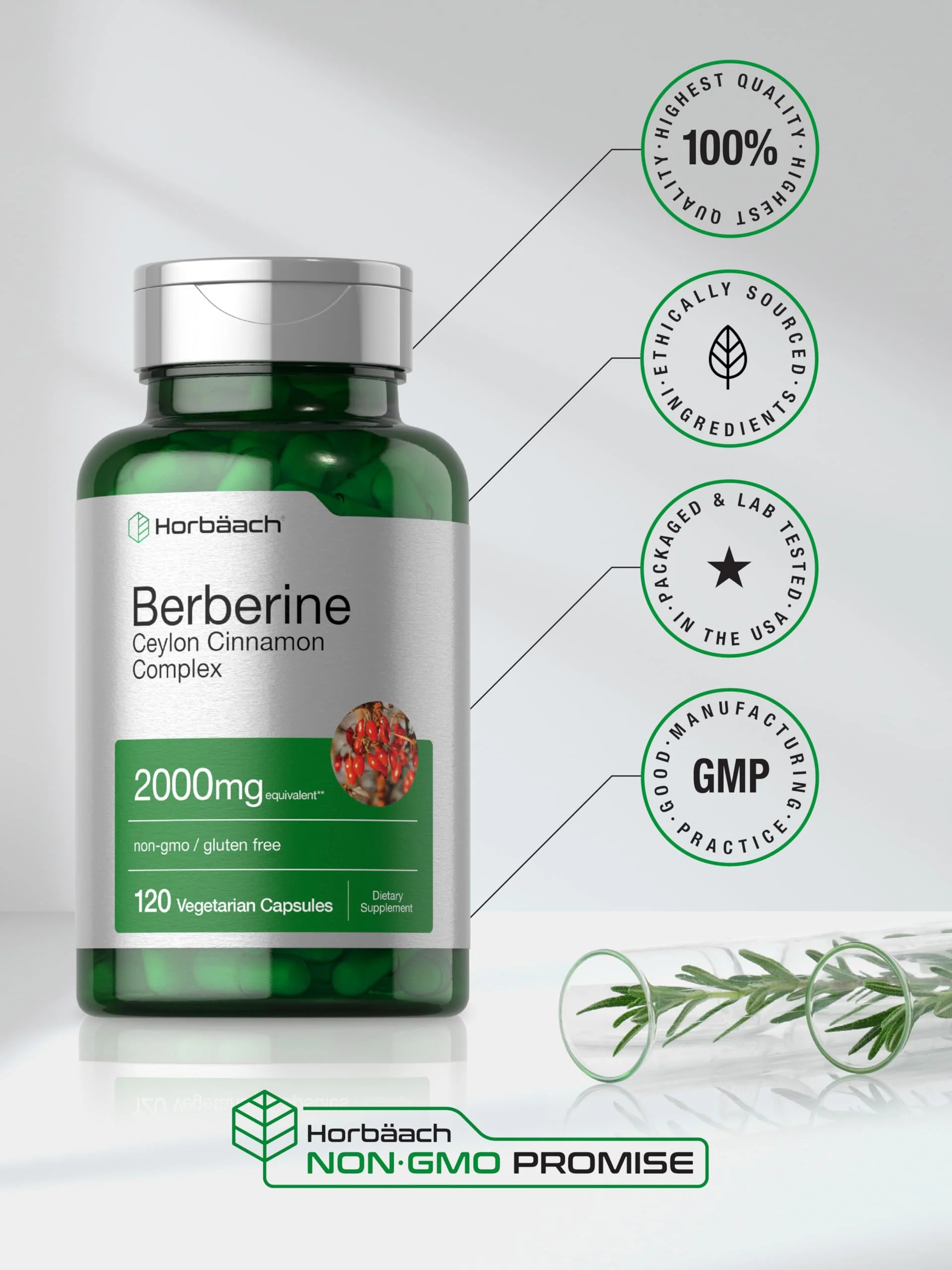 Horbäach Berberine with Ceylon Cinnamon – 2000mg, 120 Veggie Capsules (Pack of 2) | Vegetarian, Non-GMO & Gluten Free - Image 6