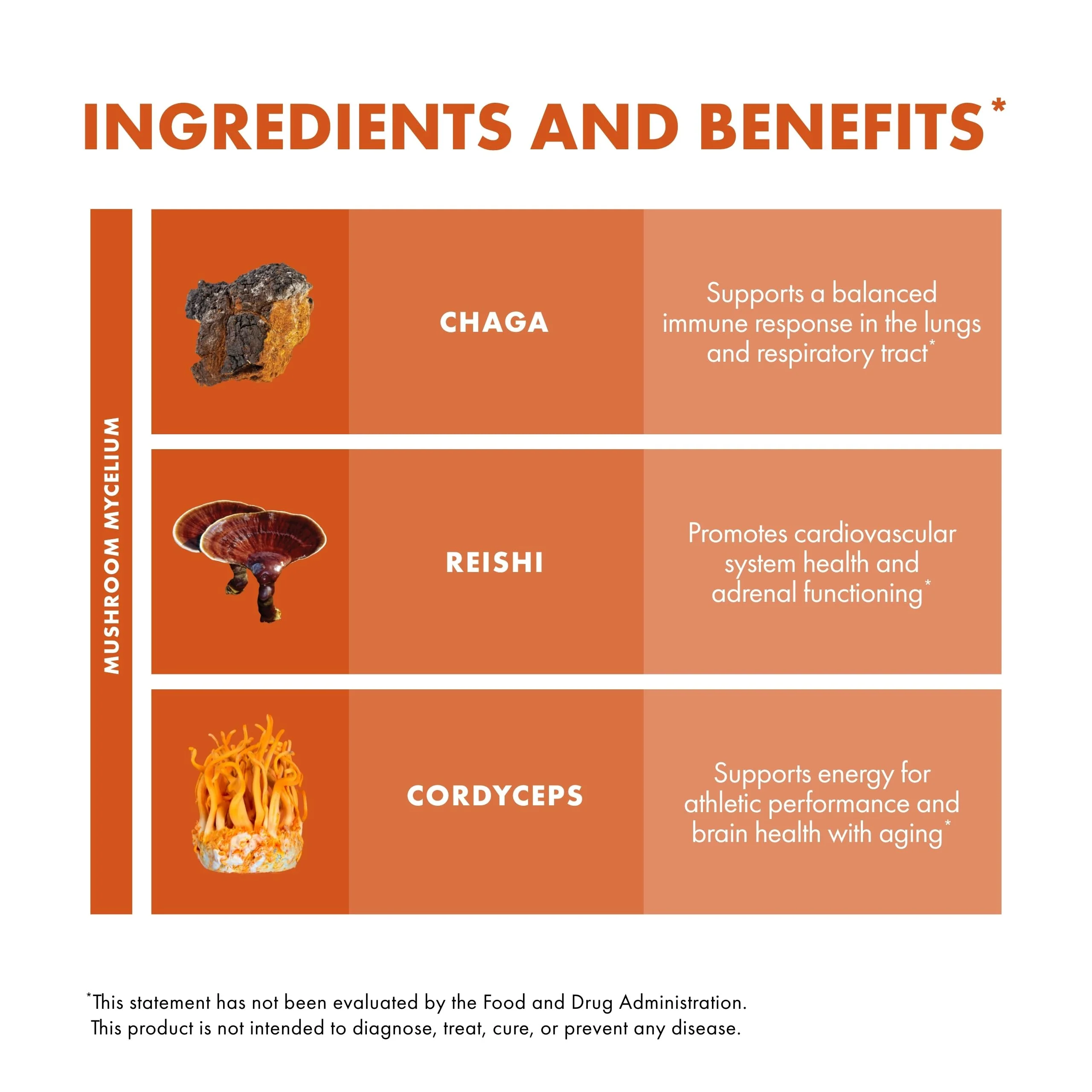 Host Defense Breathe Capsules – Immune & Respiratory Support Mushroom Supplement with Chaga, Reishi & Cordyceps – 120 Capsules - Image 13