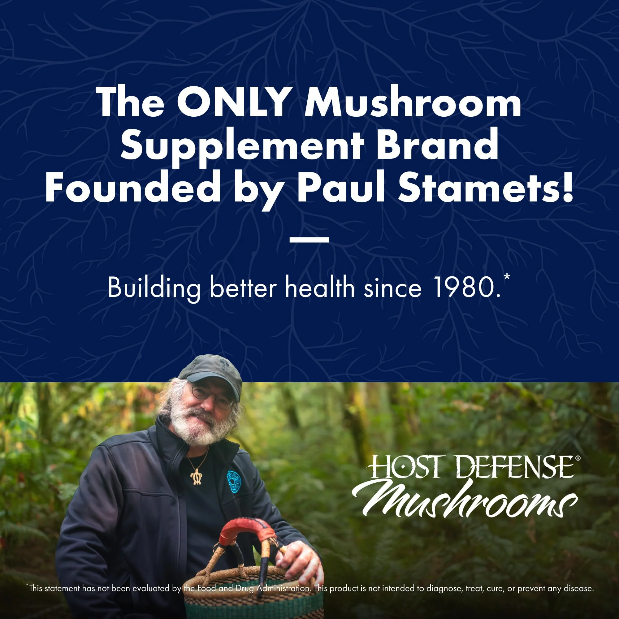 Host Defense Mushrooms Lion's Mane – Brain Health, Focus & Memory (120 Capsules) - Image 2